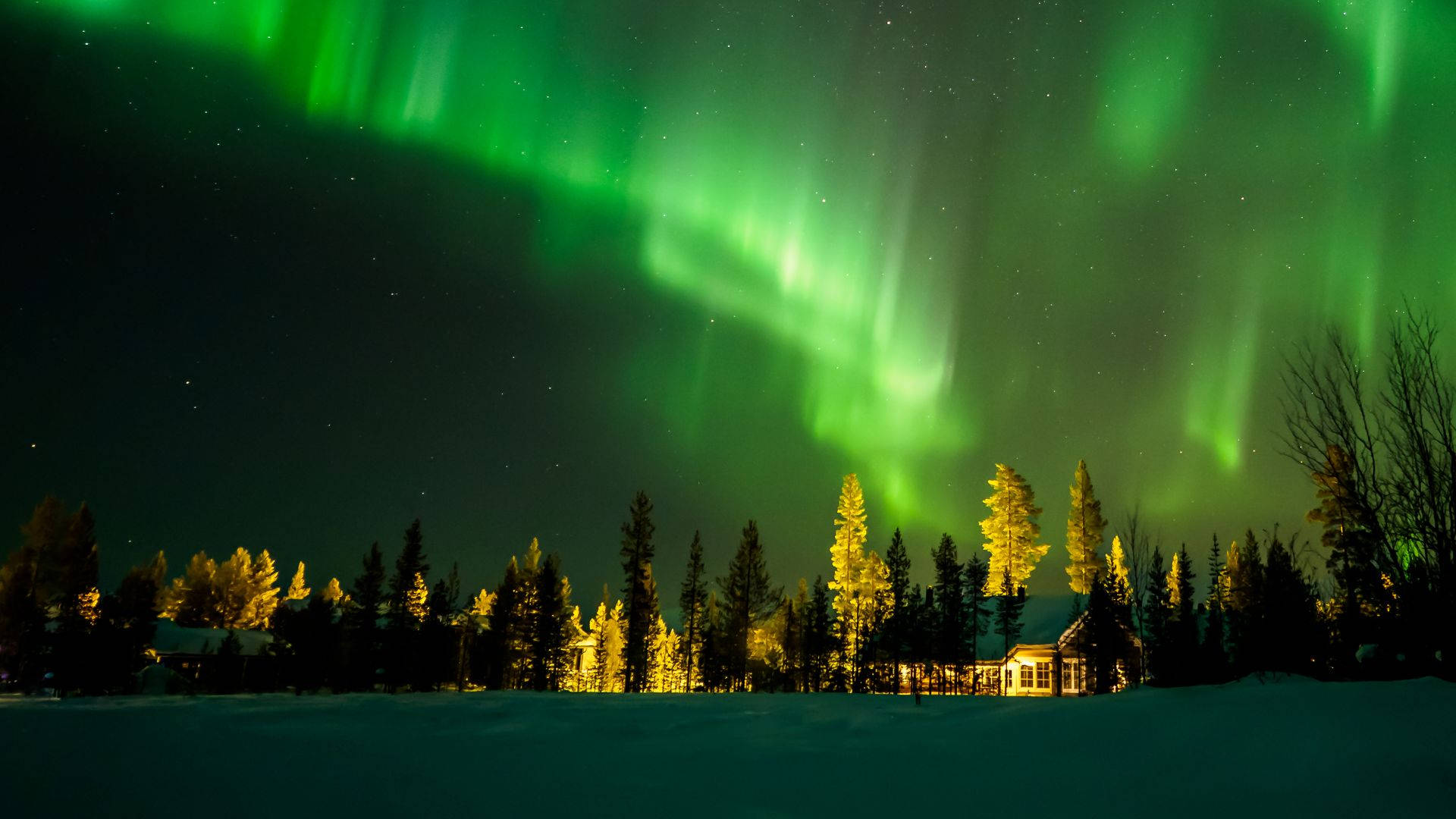 Cielo verde con luz brillante Fondos de pantalla