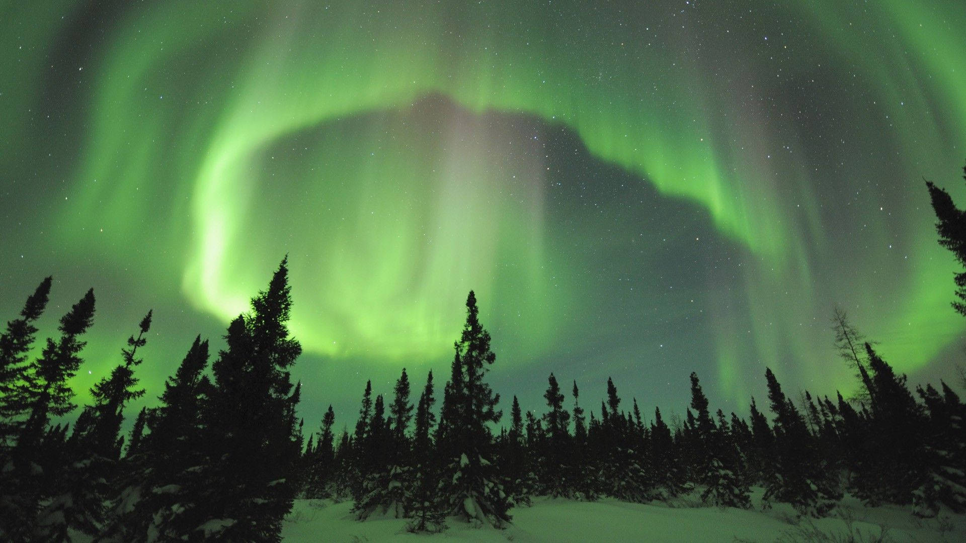 Cielo Verde de Aurora Boreal Fondos de pantalla