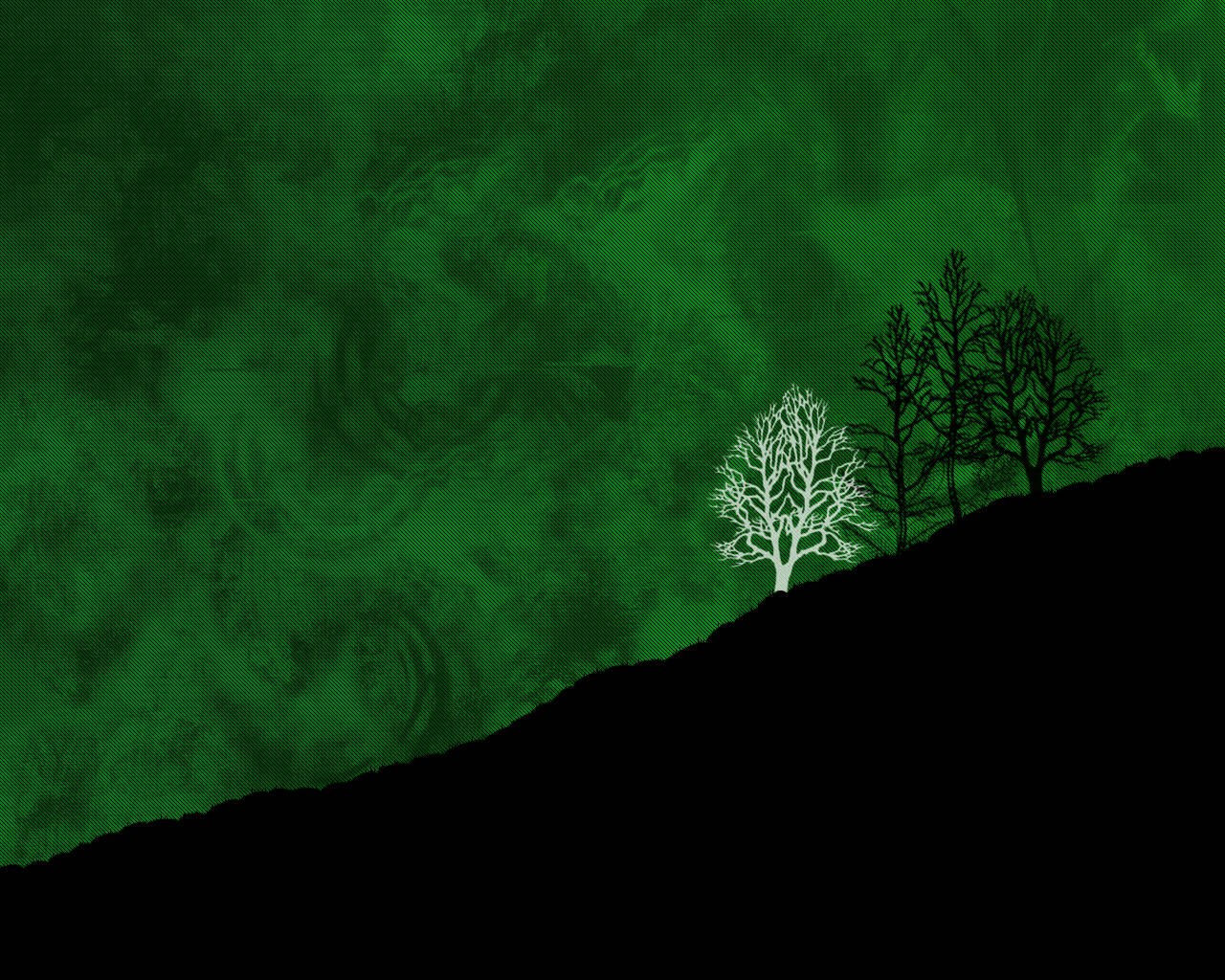 Cielo verde fresco con siluetas de árboles Fondos de pantalla