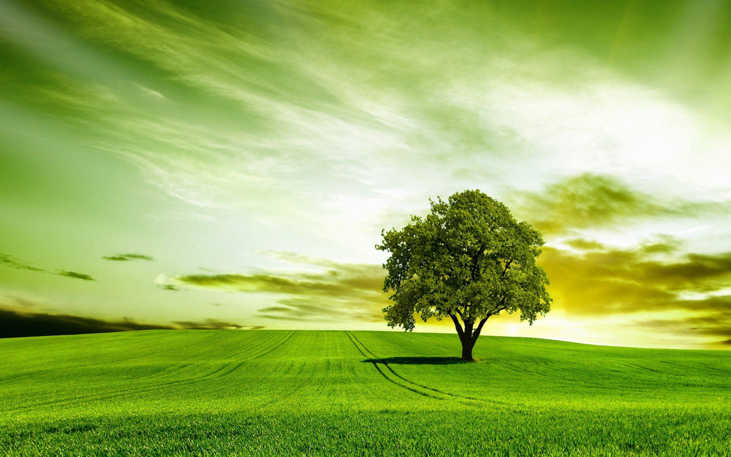 Cielo verde sobre la colina Fondos de pantalla