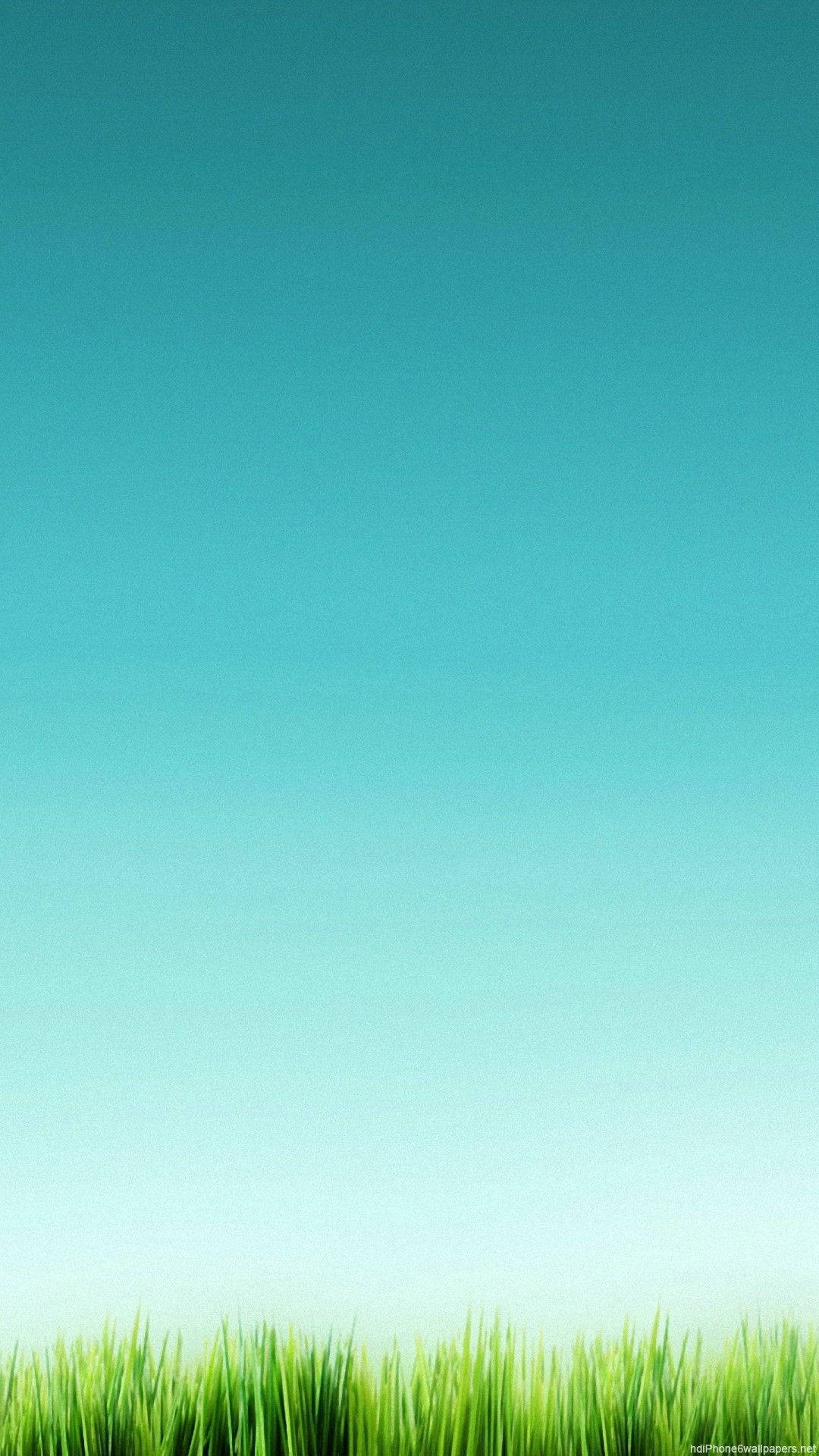 Cielo verde y pasto Fondos de pantalla