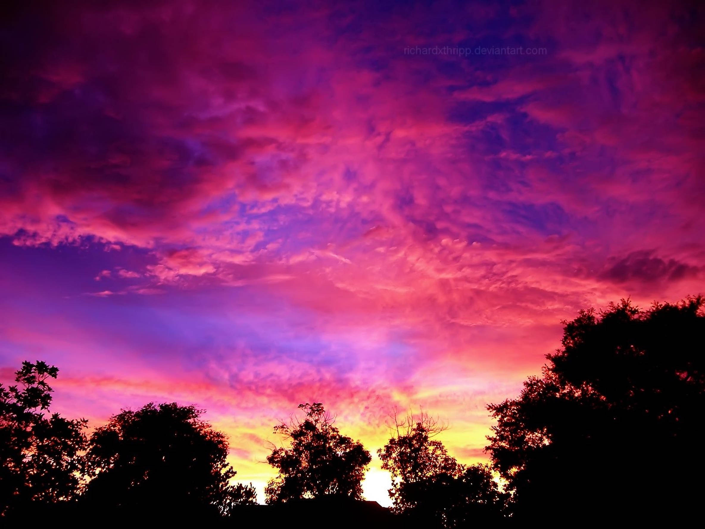 Cielos rosados y púrpuras al atardecer Fondos de pantalla