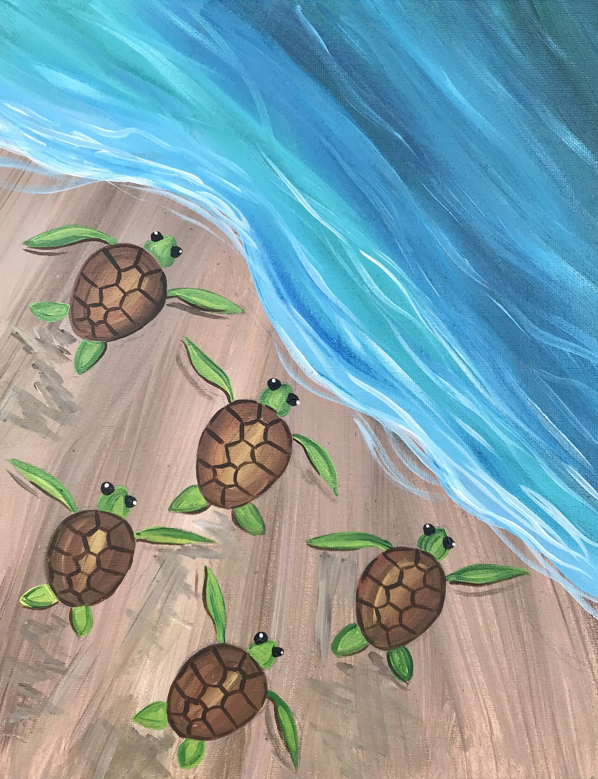 Cinco Tortugas Lindas en la Orilla del Mar Fondos de pantalla