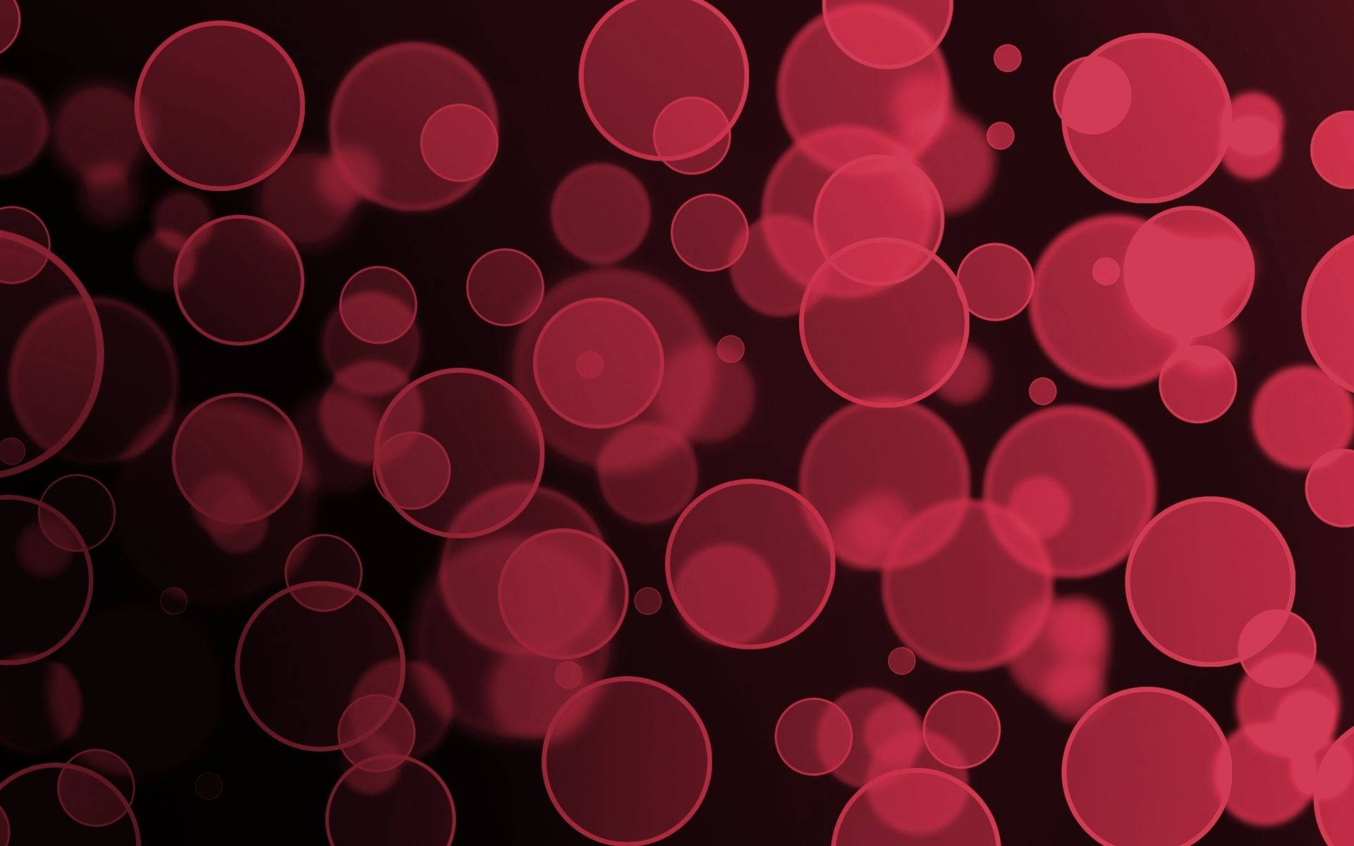 Círculo Rojo Como Glóbulos Rojos Fondos de pantalla