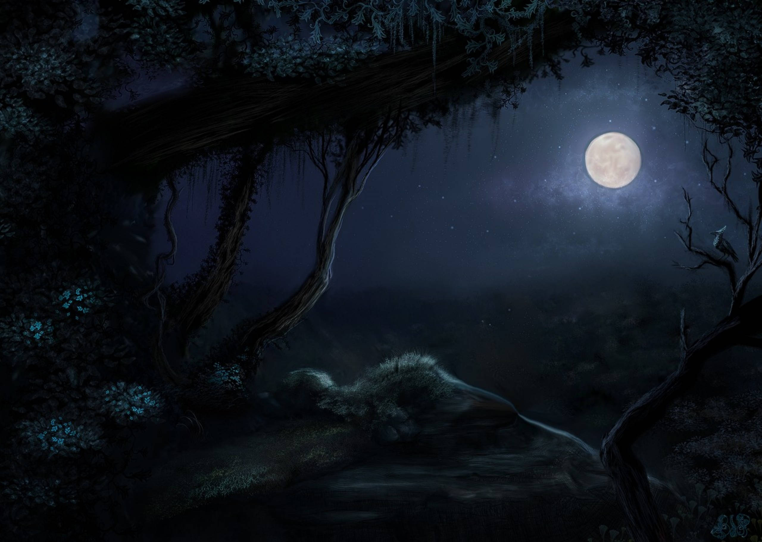 Claro del bosque con luna en el cielo nocturno Fondos de pantalla