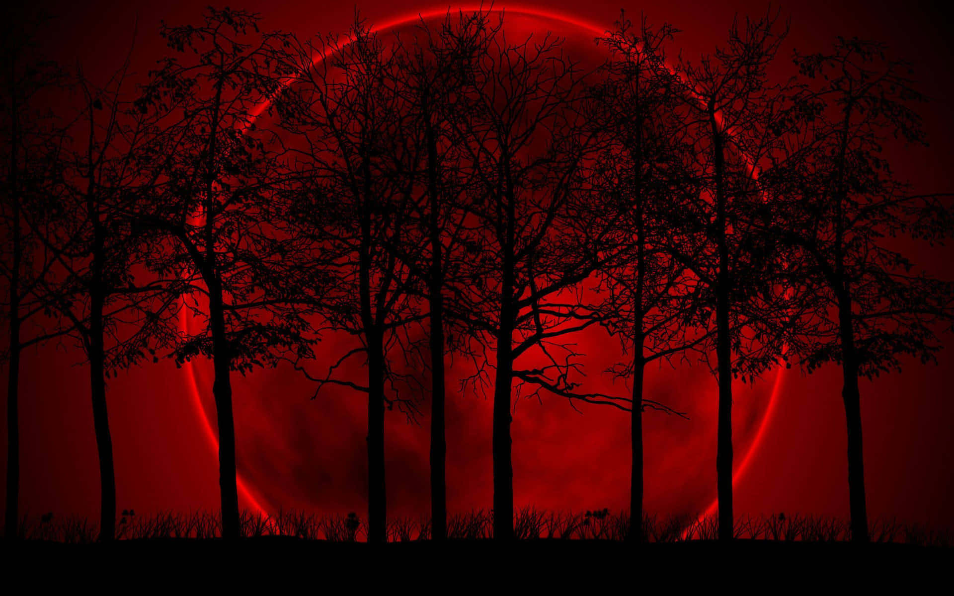 Cobrando vida en un rojo vibrante y apasionado. Fondos de pantalla