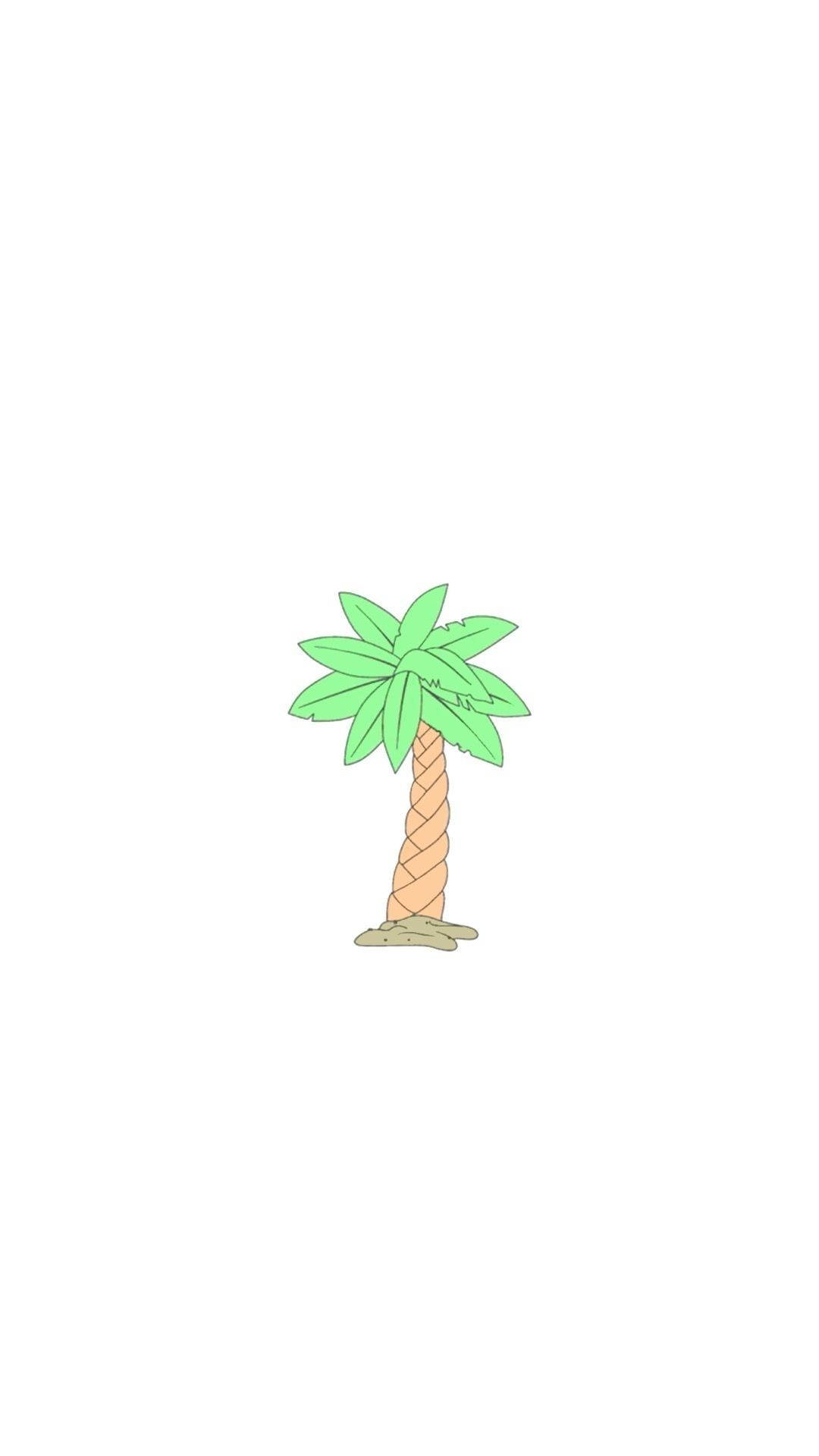 Cocotero Blanco Estético Fondos de pantalla