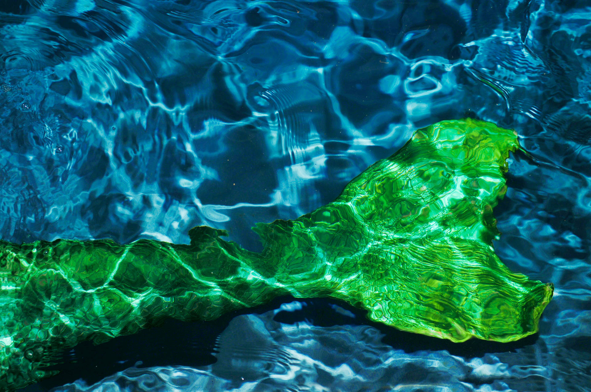 Fondo de pantalla de cola de sirena verde bajo el agua. — Sirena Fondos de pantalla