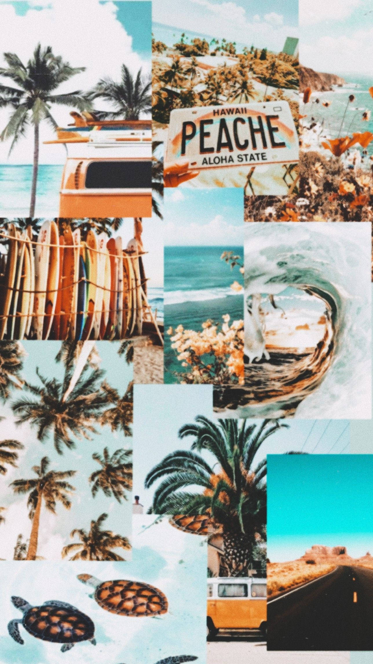 Collage Estético de Ambiente Playero Veraniego Fondos de pantalla