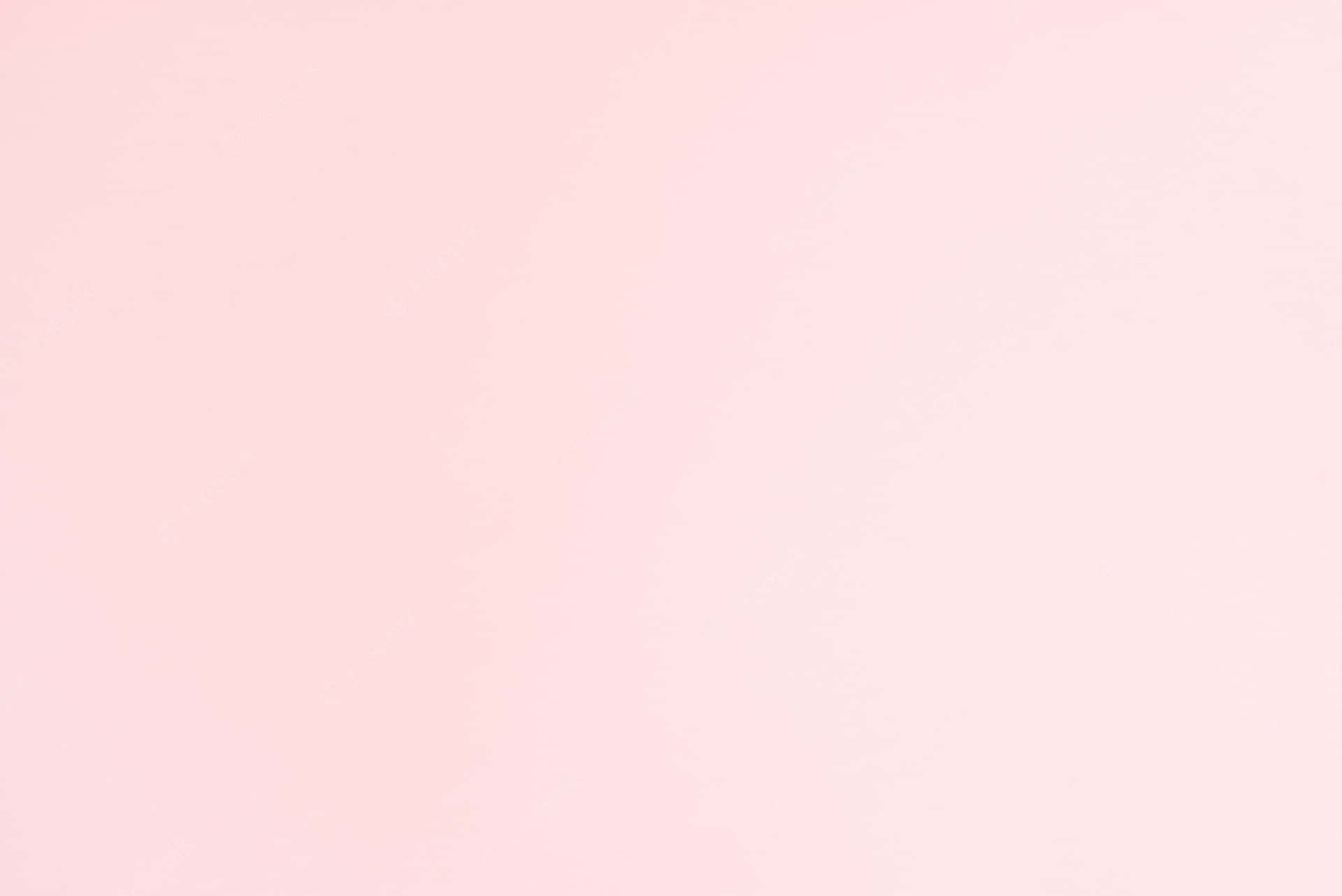 Color sólido rosa