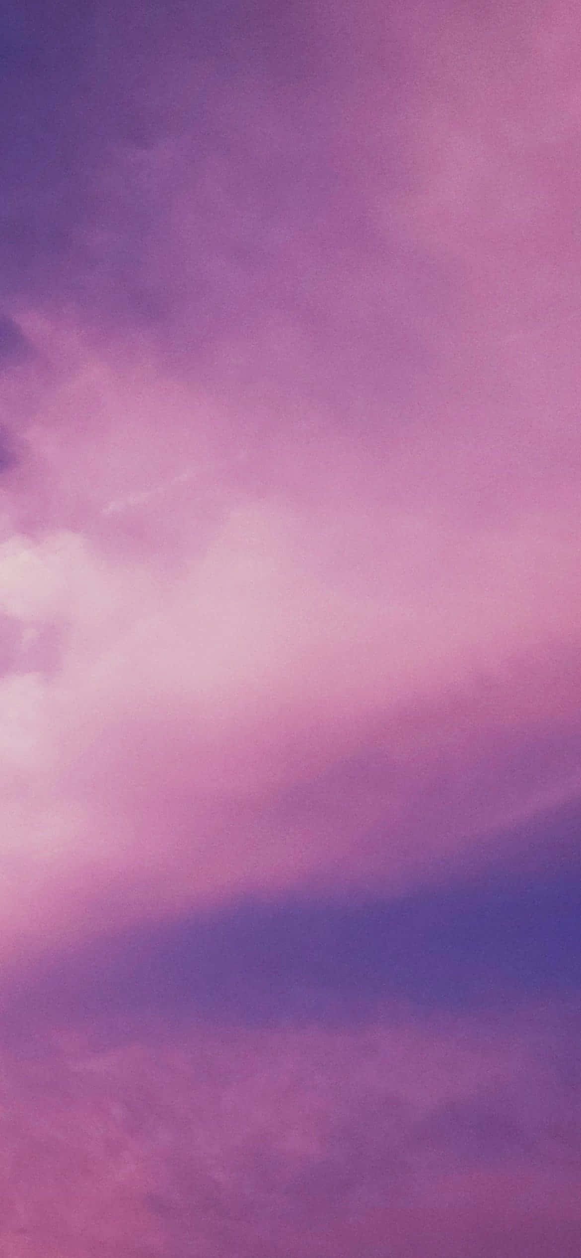 Combinación brillante y colorida de morado y rosa Fondos de pantalla