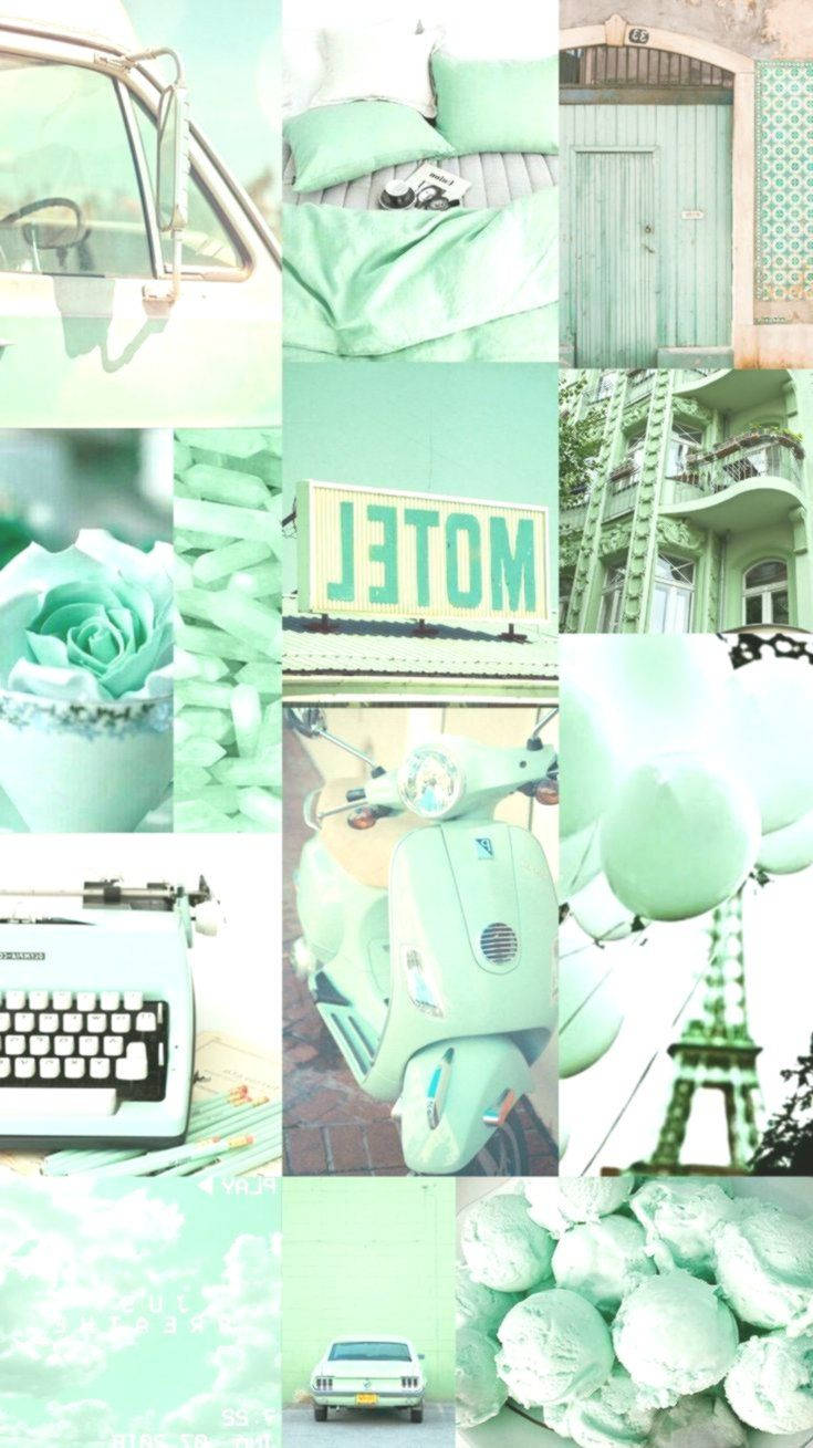 Combinación Estética Verde Claro Fondos de pantalla