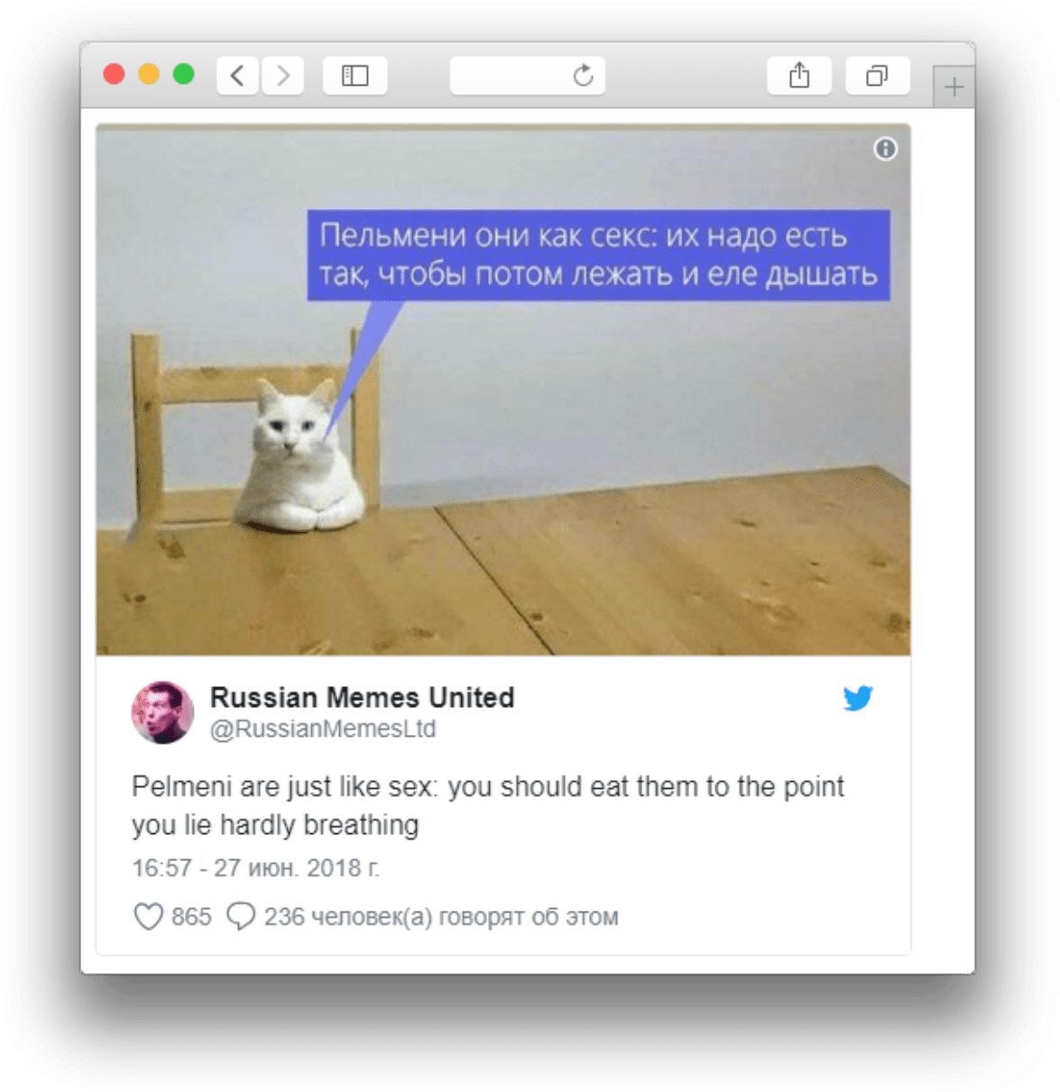 Comparación de Meme de Gato Ruso con Pelmeni Fondos de pantalla
