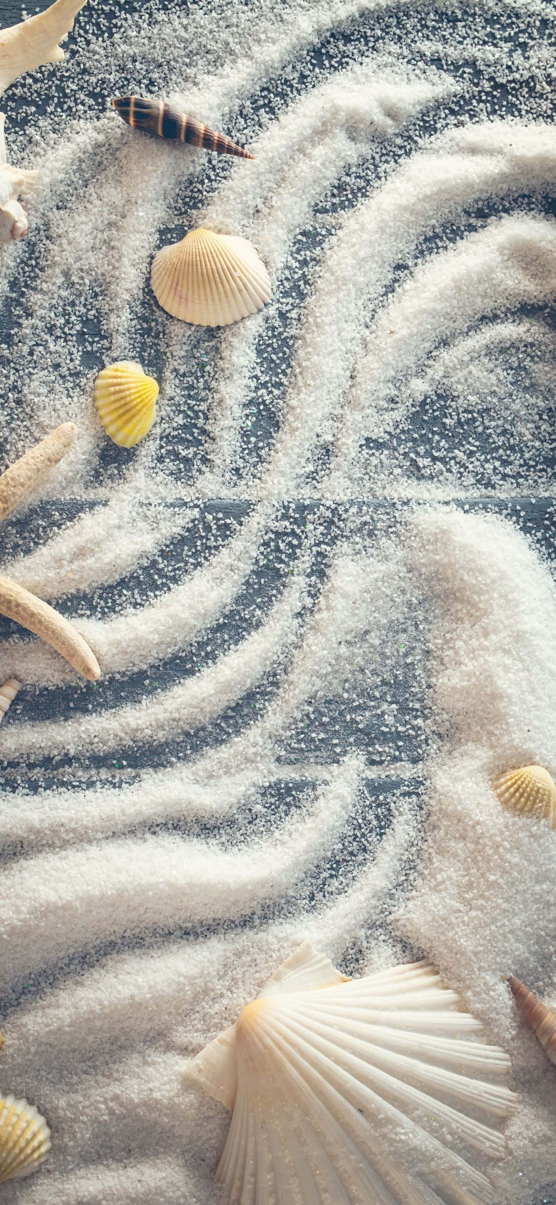 Conchas con polvo blanco Fondo de verano iPhone X Fondos de pantalla