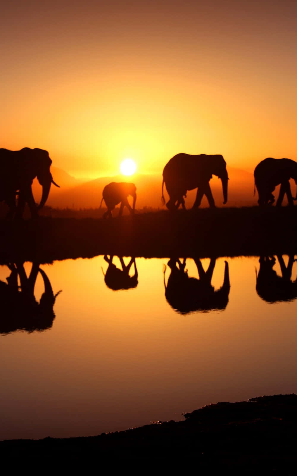 ¡Conéctate con African Phone! Fondos de pantalla