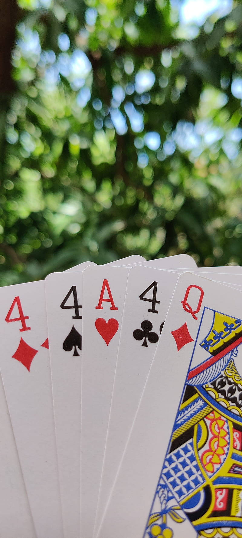 Conjunto de cinco cartas de Rummy Fondos de pantalla