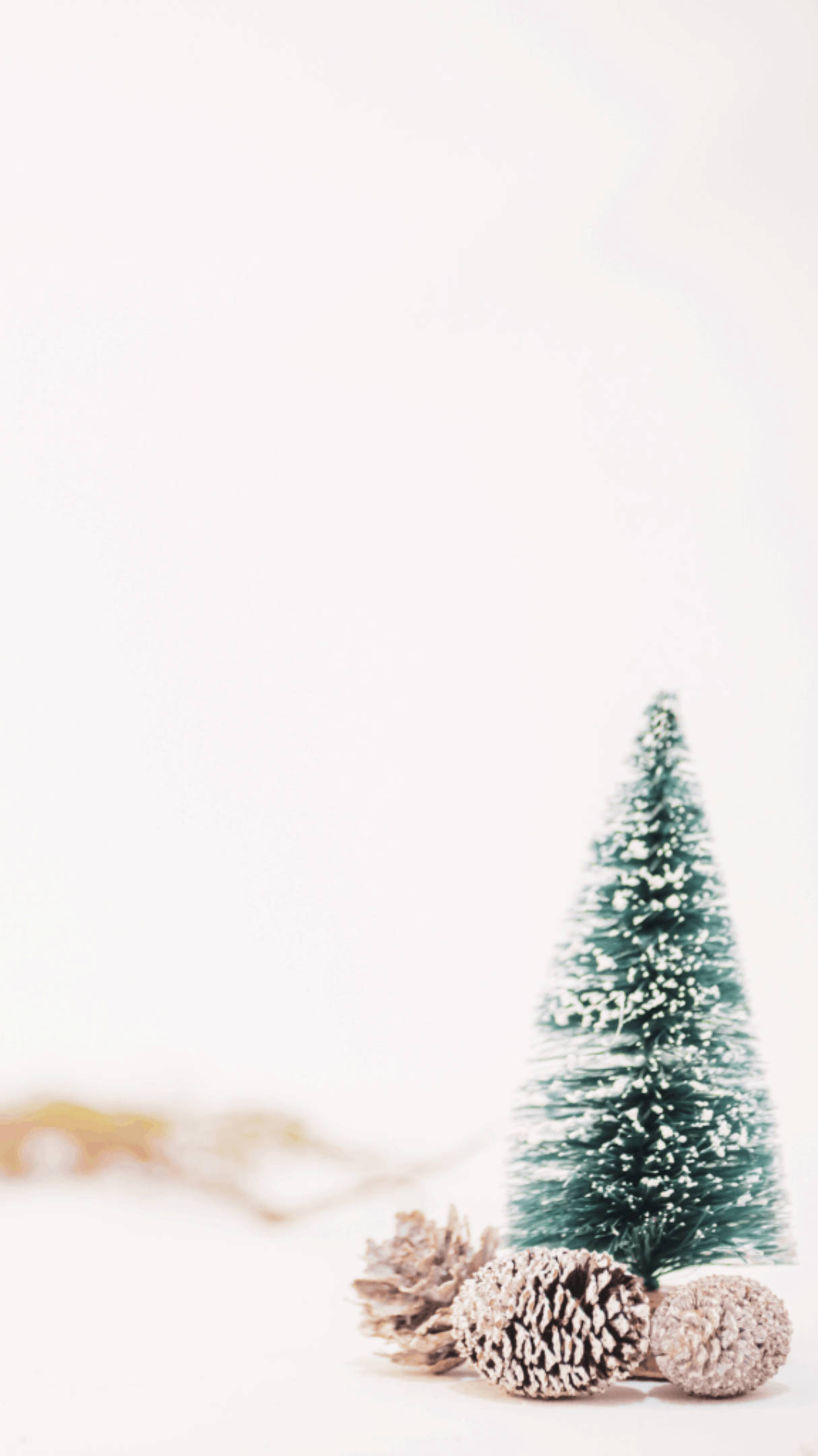 Conos de Pino Estéticos Navideños Fondos de pantalla