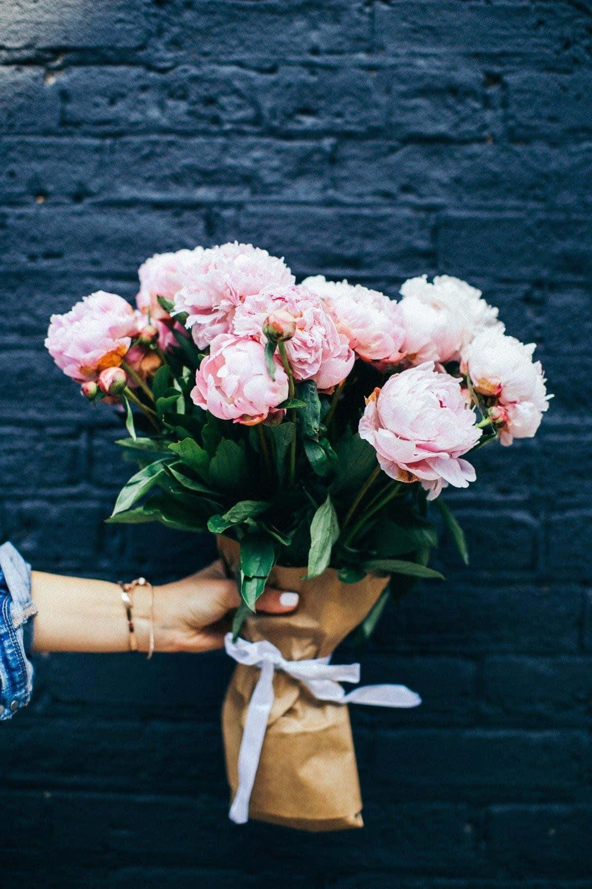 Consigue este hermoso Apple iPhone con un fondo de flores impreso. Fondos de pantalla