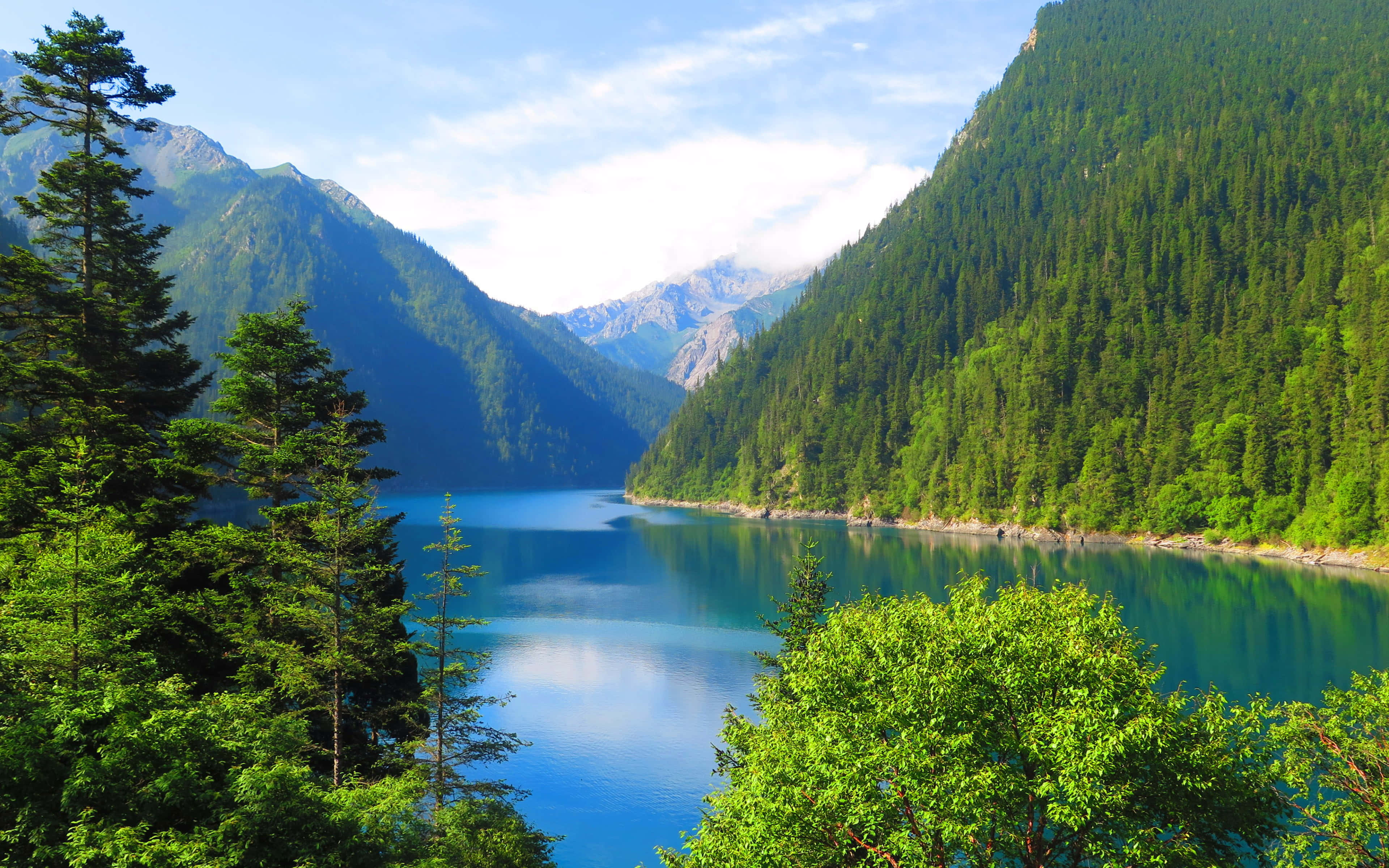 "Contempla la Belleza de la Naturaleza" Fondos de pantalla