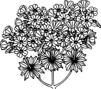 Contorno de flor sobre fondo negro Fondos de pantalla