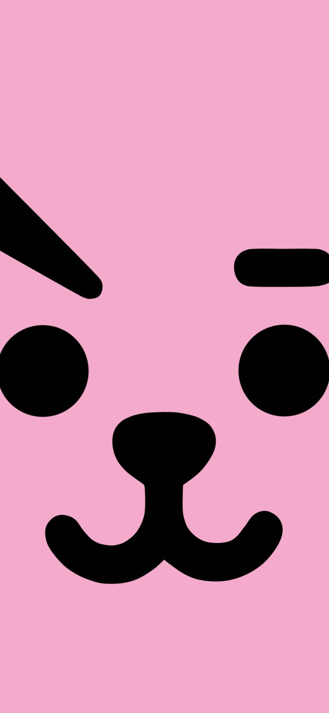 Cooky Bt21 Rostro Completo Fondos de pantalla