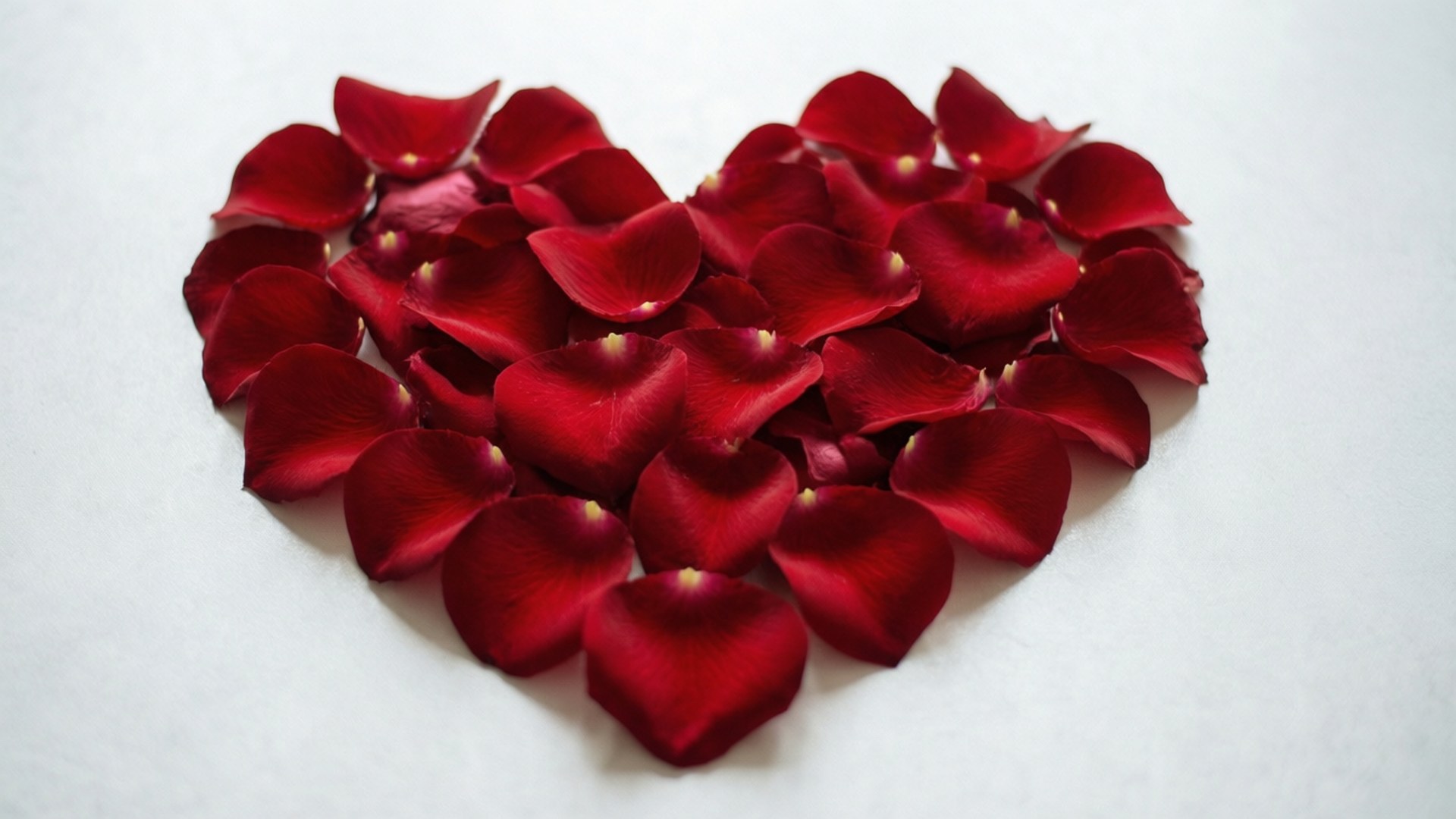 Corazón de Pétalos de Rosa Fondos de pantalla