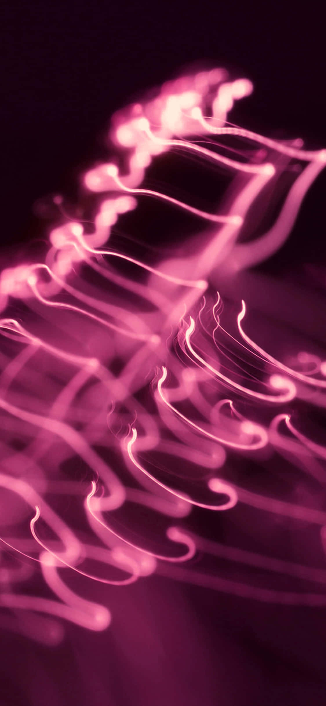 Corazón romántico floreciente en rosa oscuro Fondos de pantalla