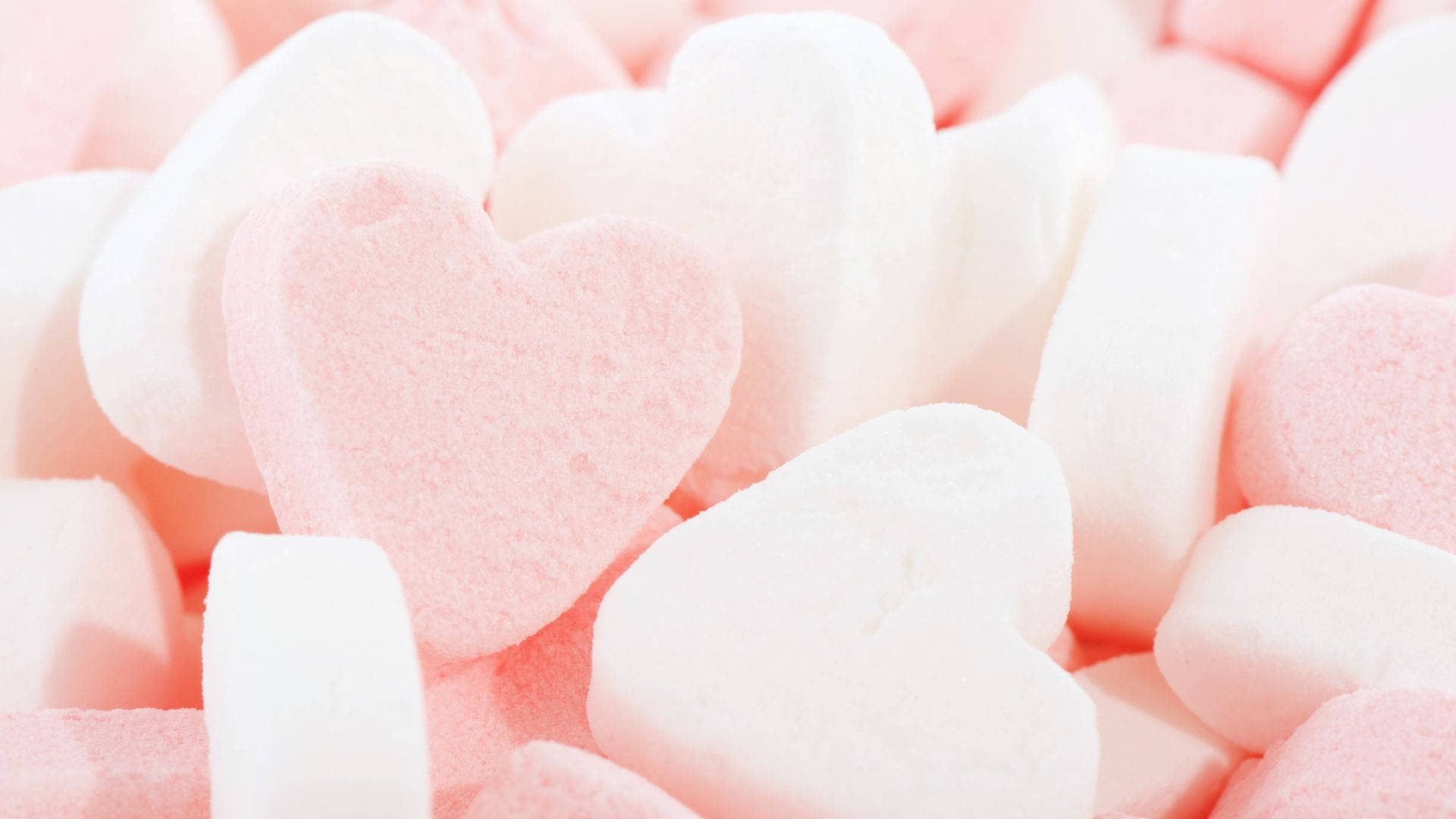 Corazones Blancos y Rosa Bebé Fondos de pantalla