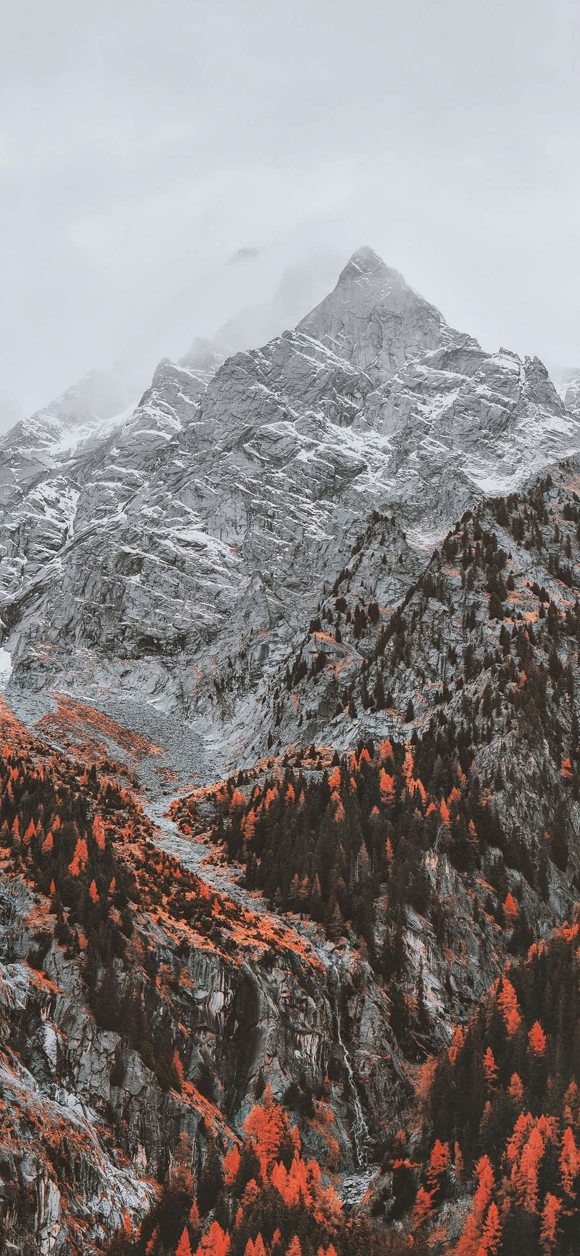 una cordillera con árboles rojos y una montaña Fondos de pantalla