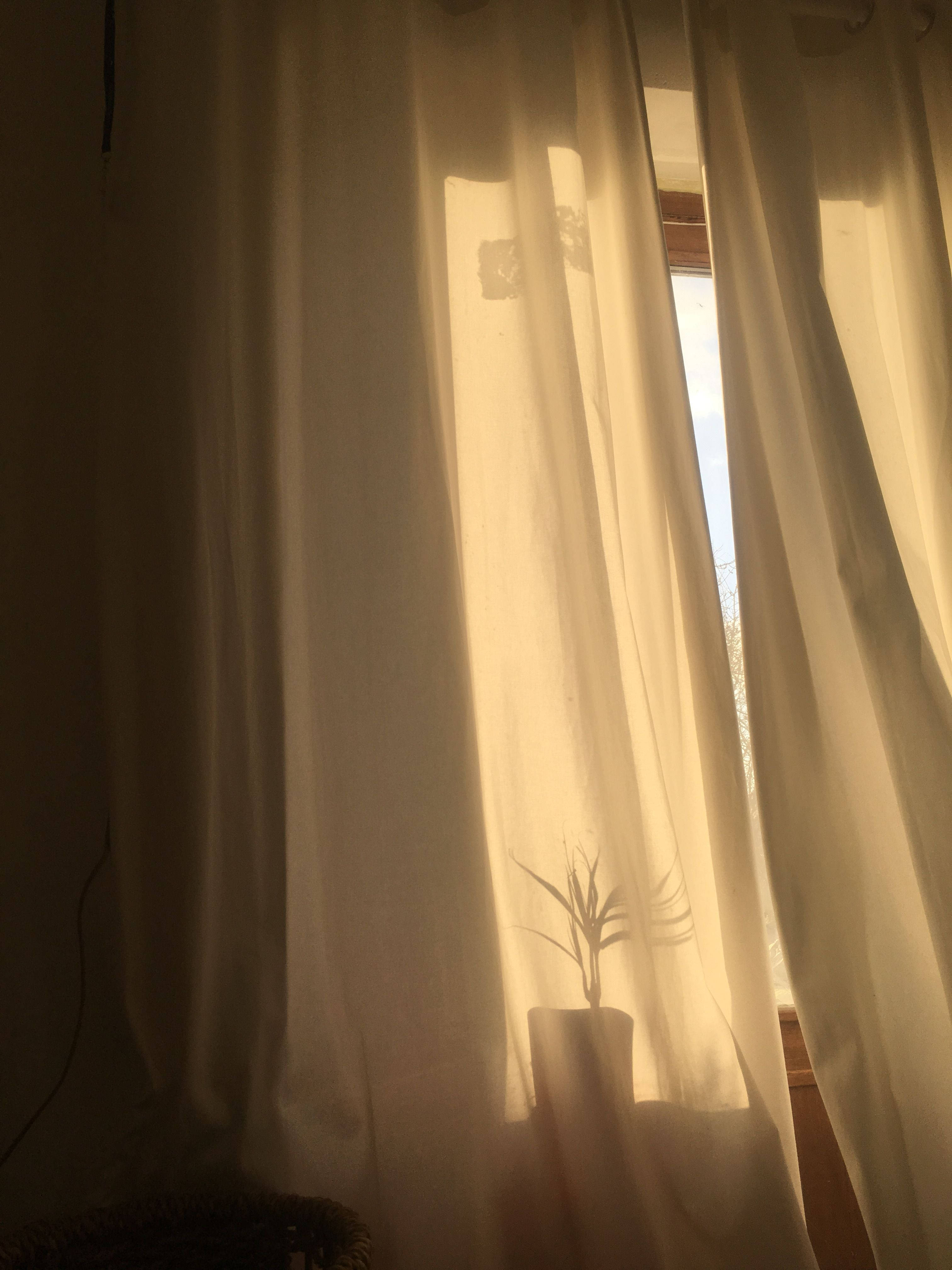 Cortina Marrón Claro Estética con Luz Solar Fondos de pantalla