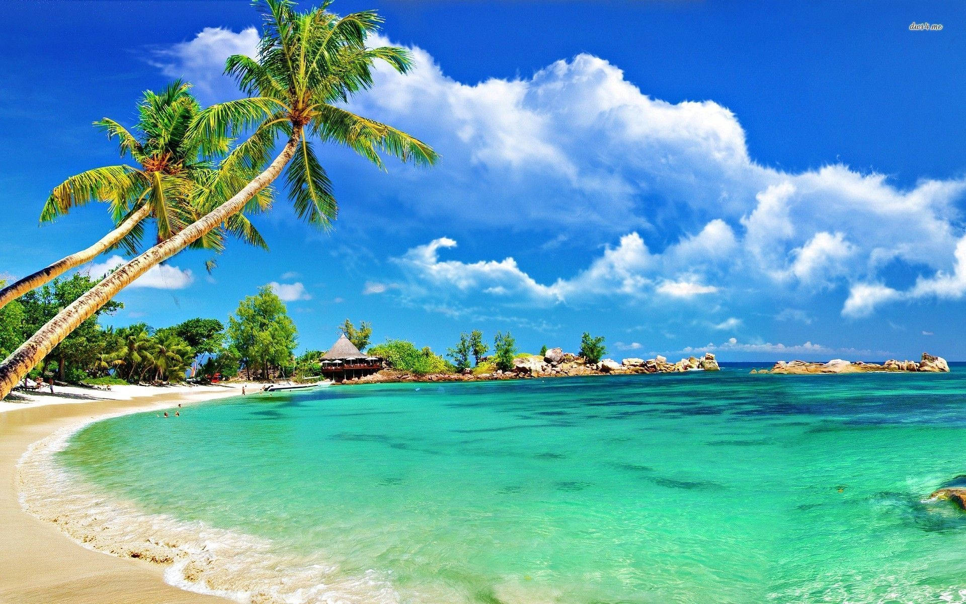 Costa de la Tropical Montego Bay