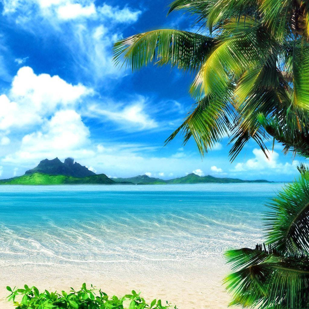 Costa Tropical iPad Mini Fondos de pantalla