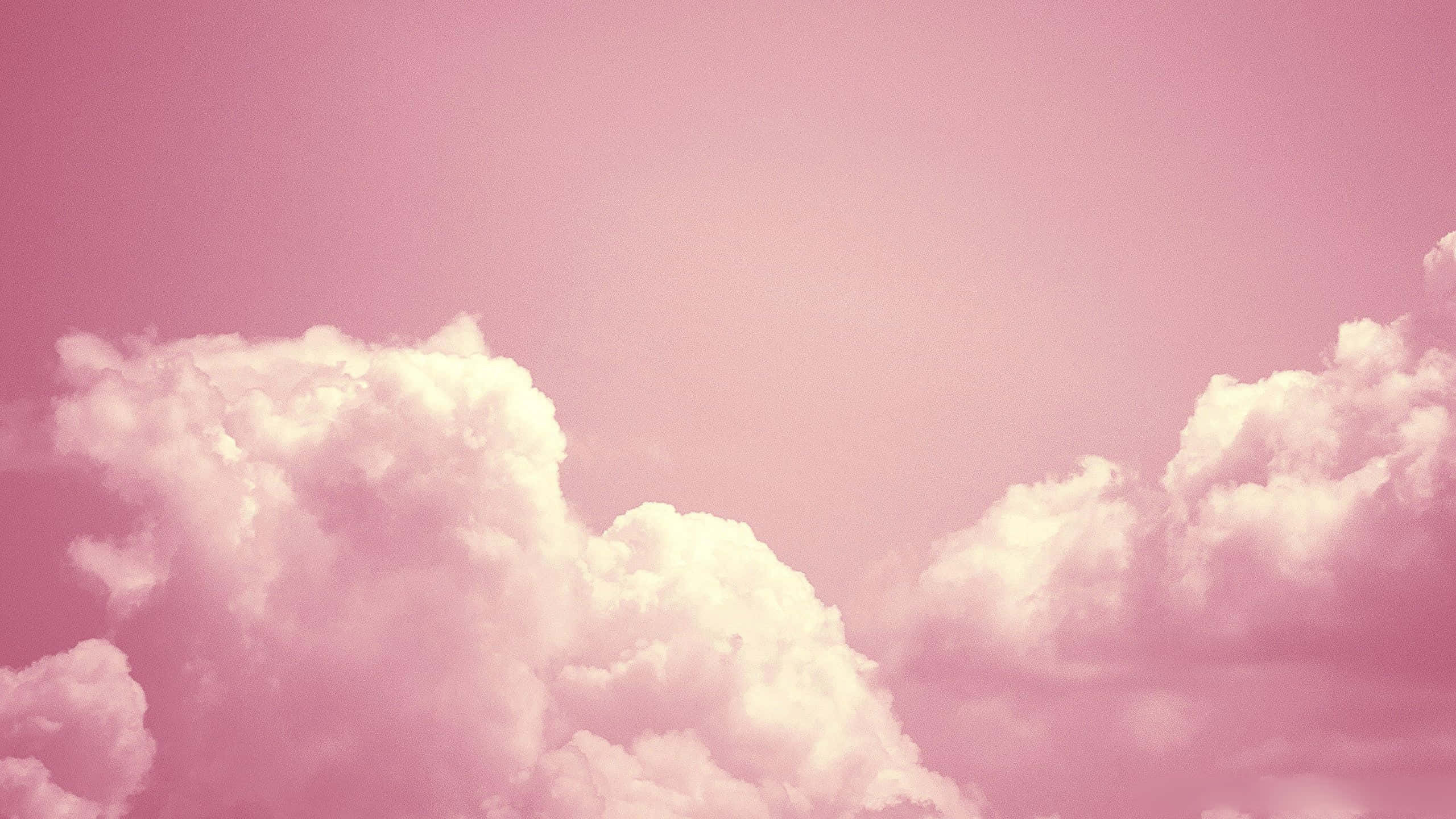 Crea una Estética Rosa Pastel de Ensueño Fondos de pantalla