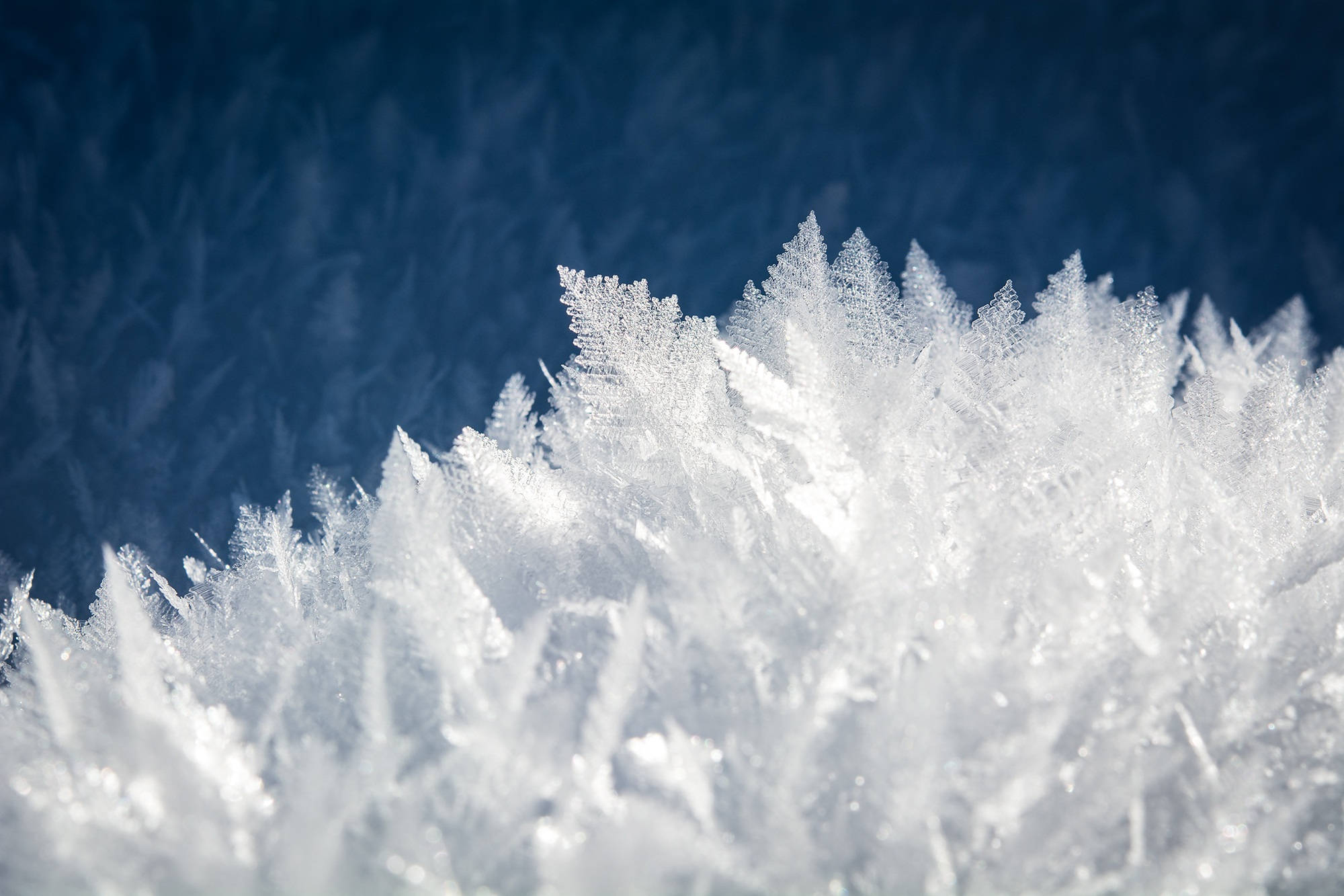 Cristales fríos de invierno Fondos de pantalla