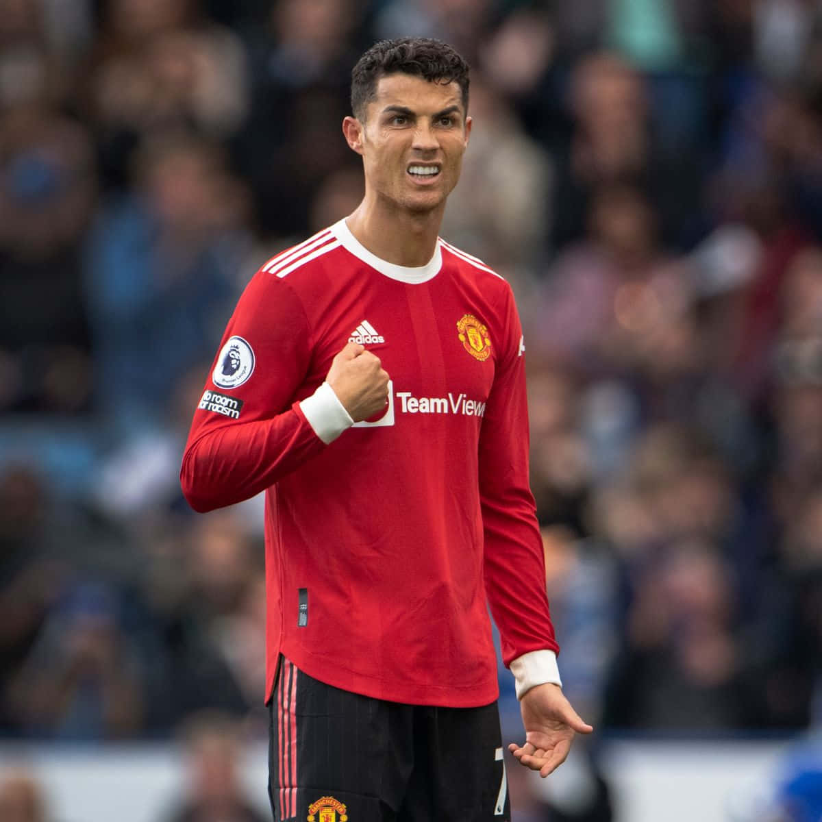 Cristiano Ronaldo posando en el campo Fondos de pantalla