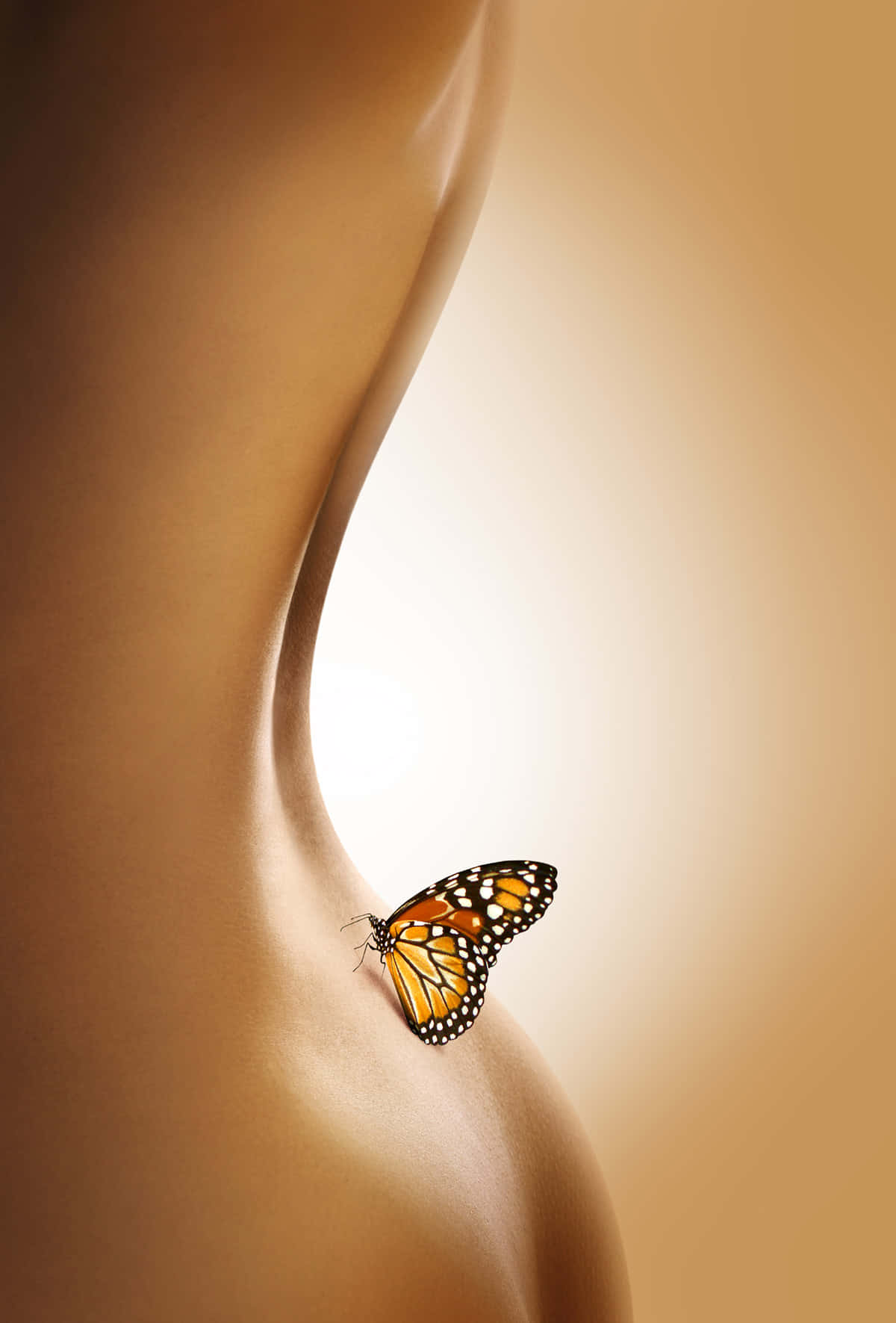 Cuerpo Sexy con Mariposa