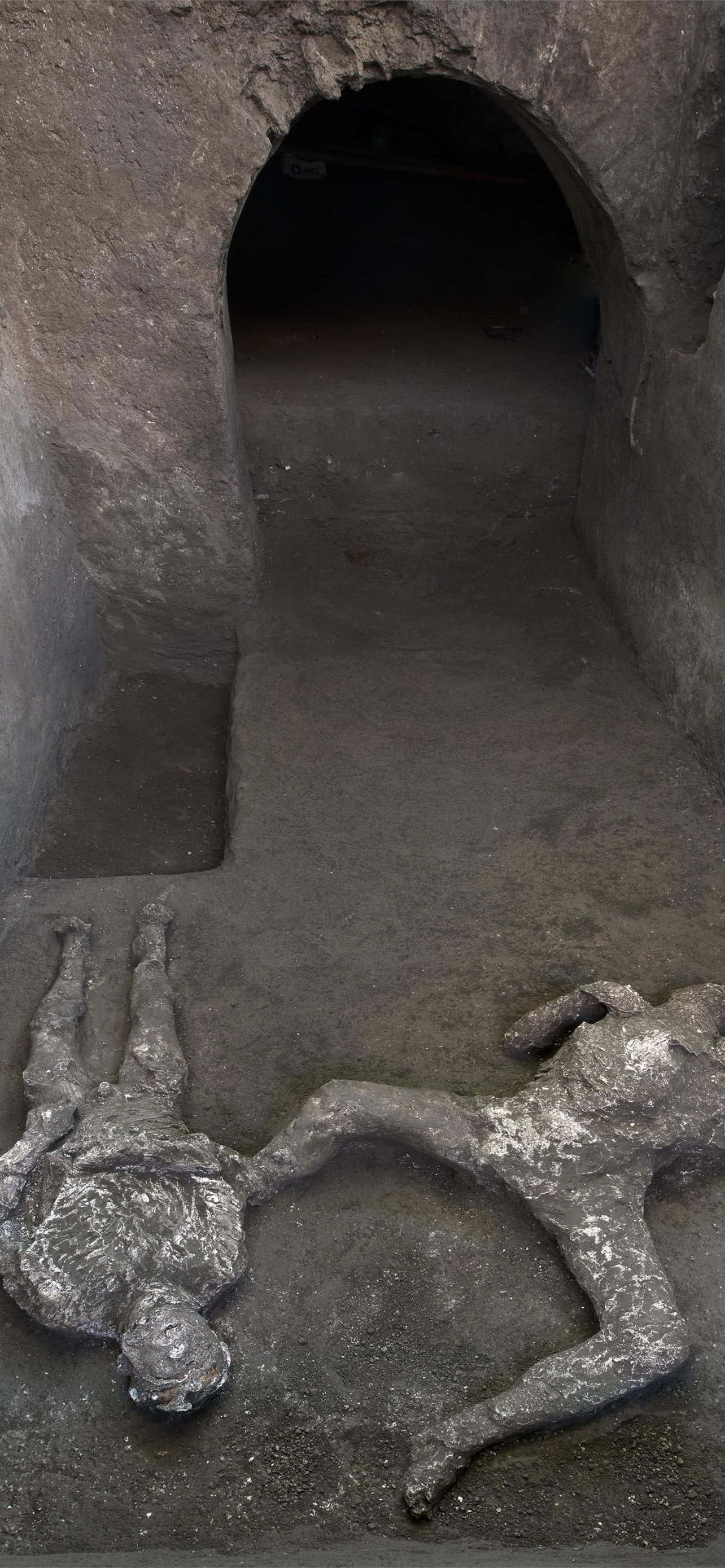 Cuerpos humanos desenterrados en Pompeya Fondos de pantalla