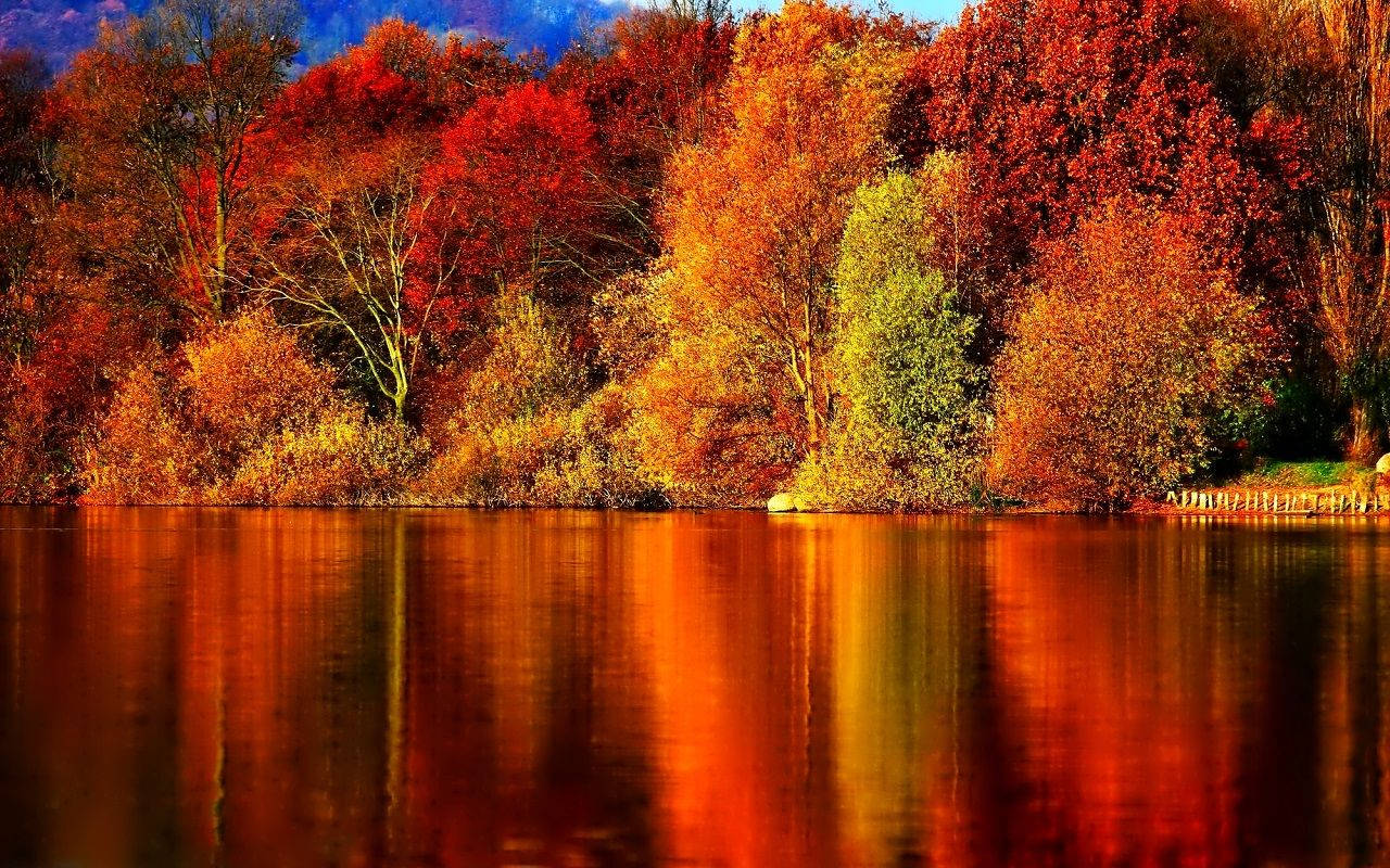 Da un paseo por la naturaleza este otoño Fondos de pantalla