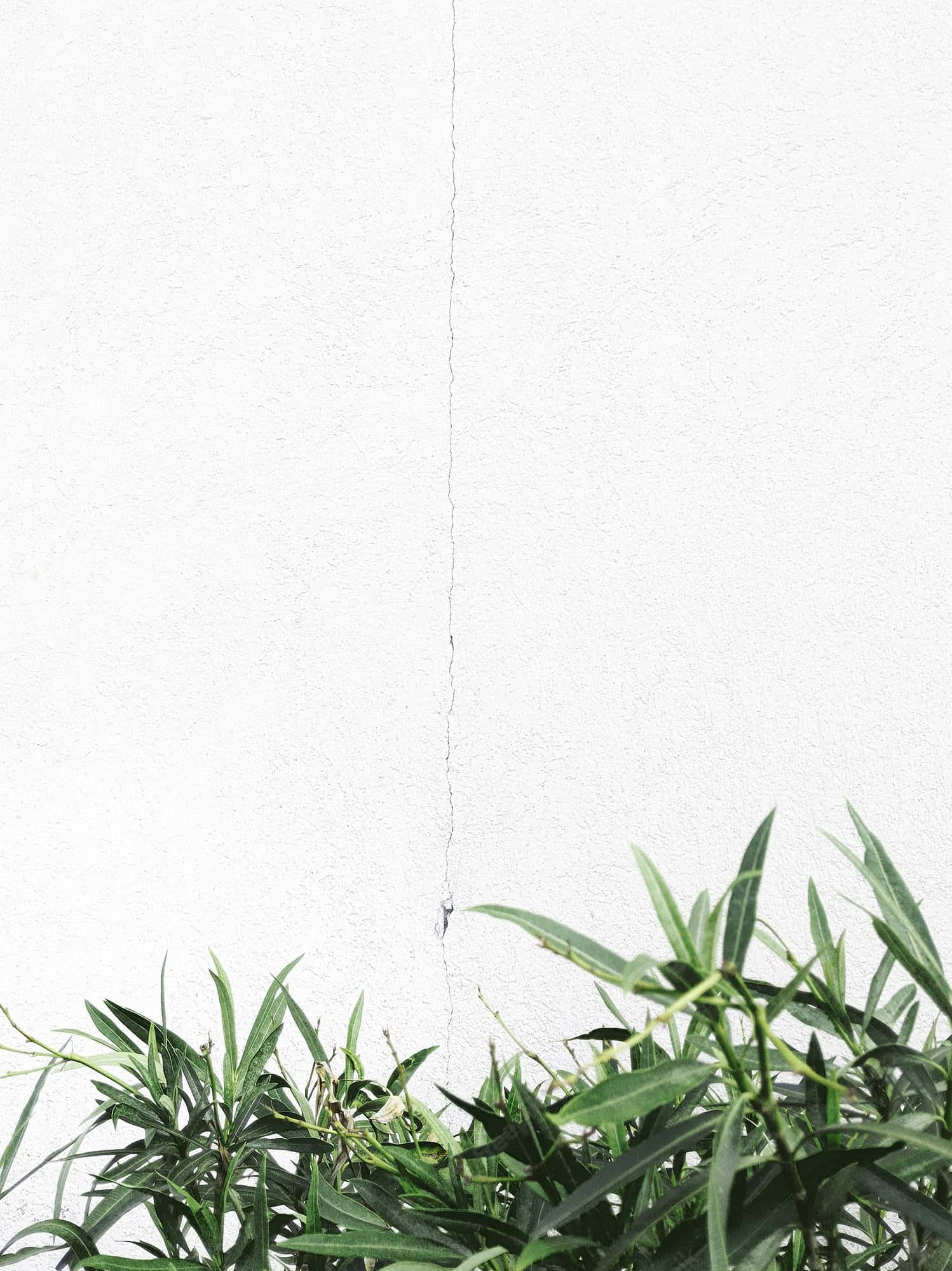 Dale un toque minimalista y fresco a tu espacio con este fondo artístico Fondos de pantalla