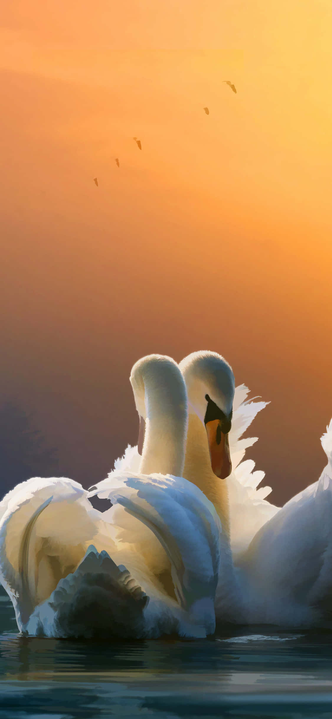Danza de Cortejo de Cisnes al Atardecer Fondos de pantalla