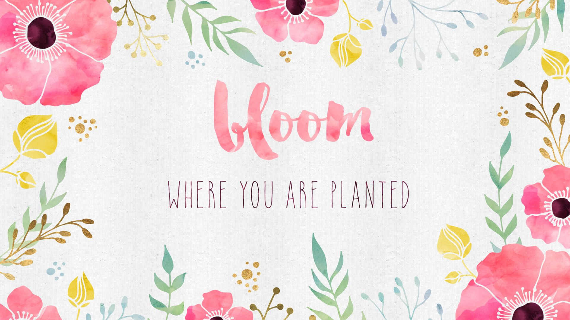 Decora tu escritorio con un fondo Boho para Mac Fondos de pantalla
