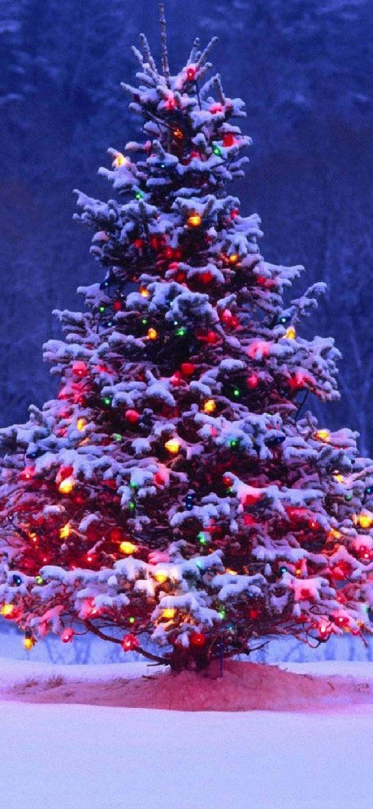 Decora tu iPhone con un fondo navideño con estilo Fondos de pantalla
