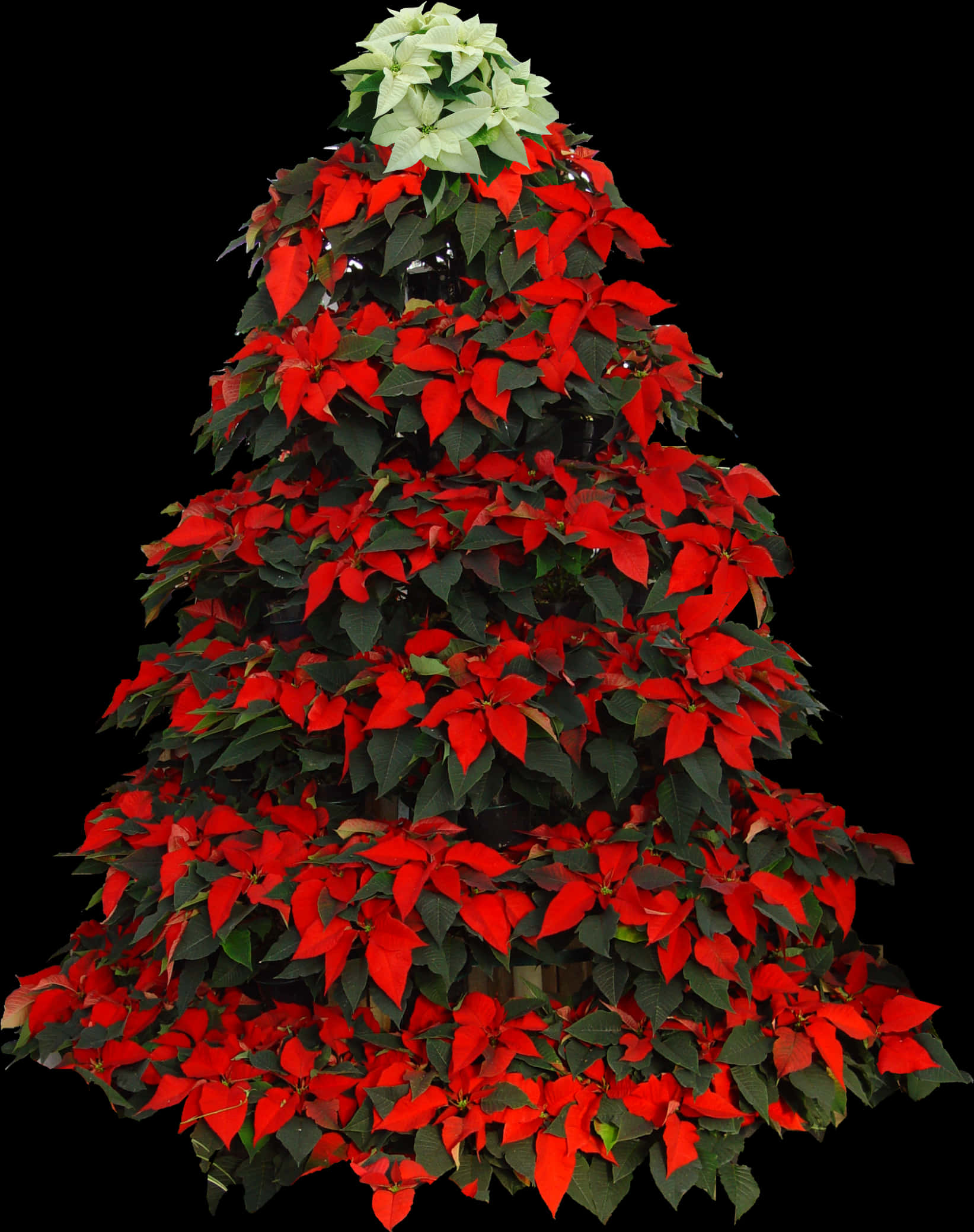 Decoración de Árbol de Navidad con Nochebuena Fondos de pantalla