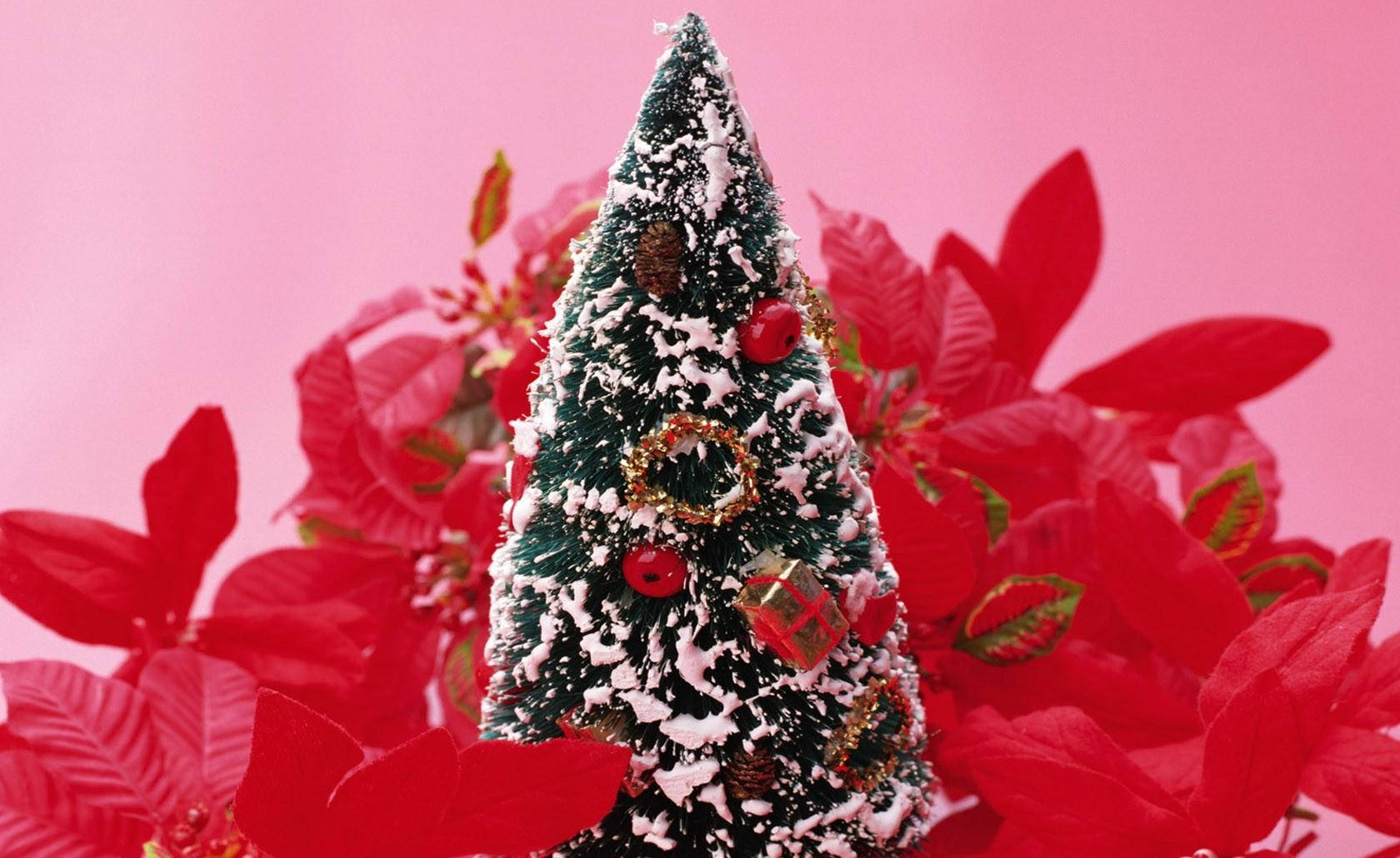 ¡Decorando el árbol de Navidad! Fondos de pantalla