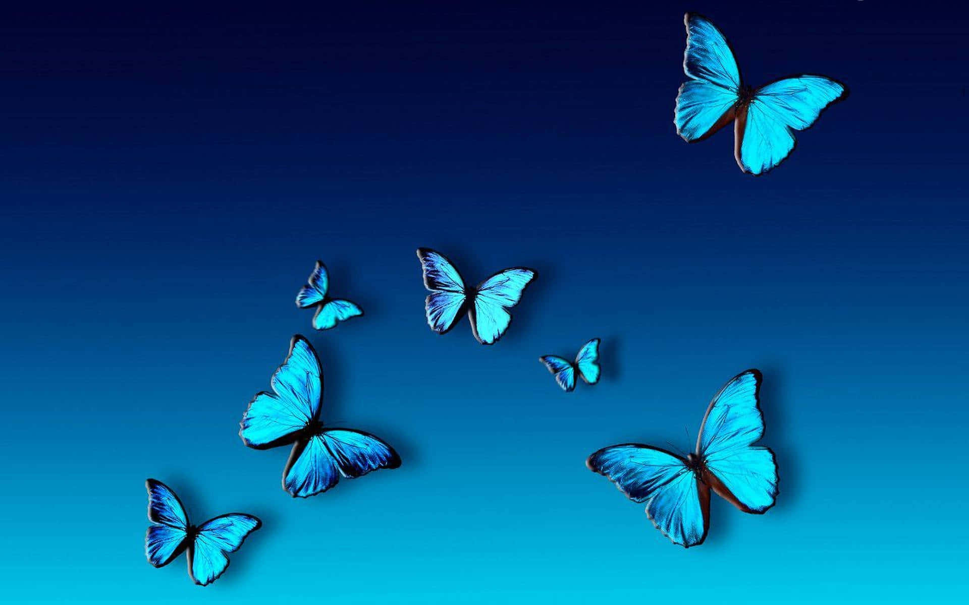 Dedicado a la belleza de la naturaleza Fondos de pantalla