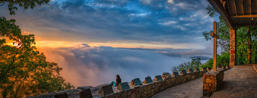 Deja que la belleza llene tu vida Fondos de pantalla