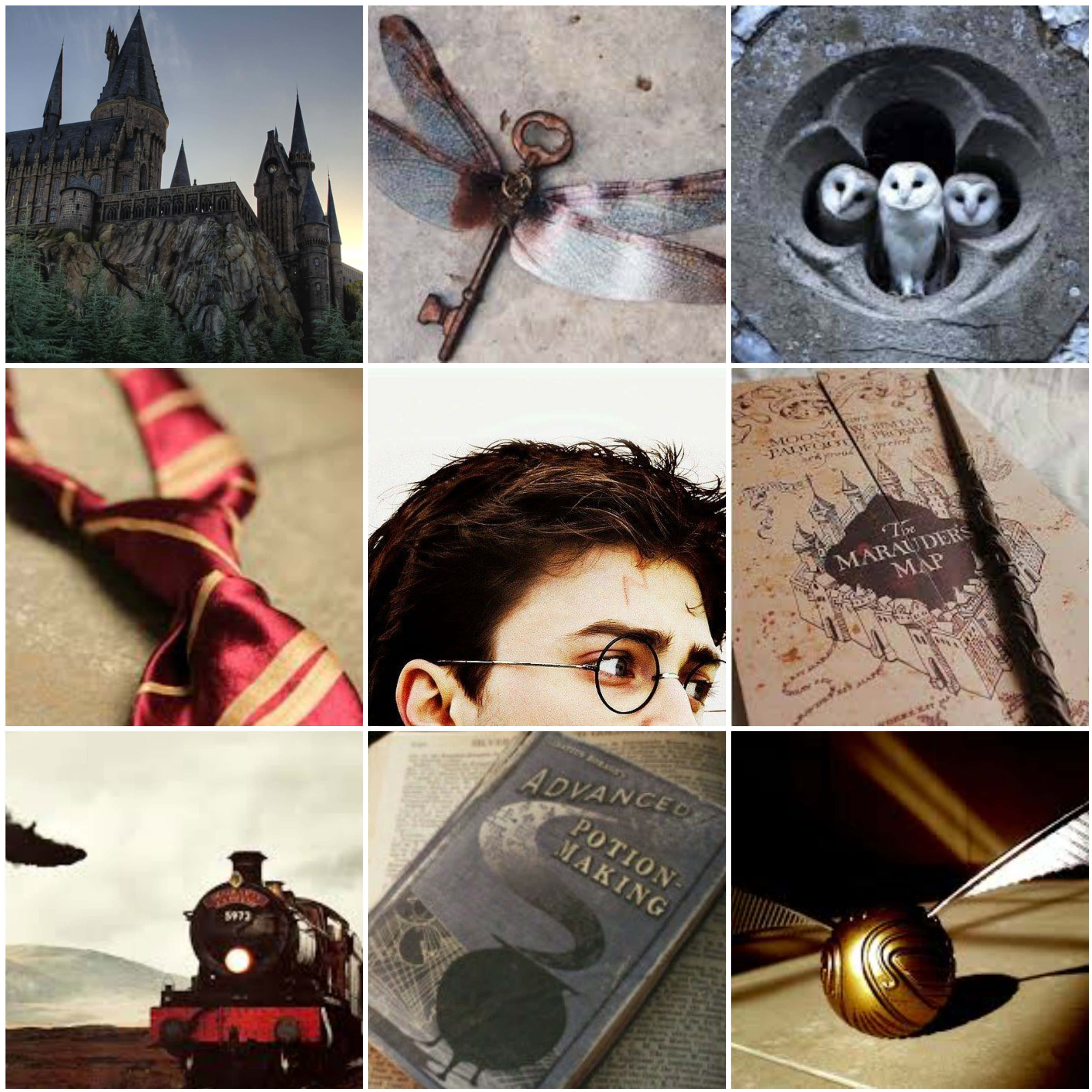 Deja que la magia te lleve lejos Fondos de pantalla