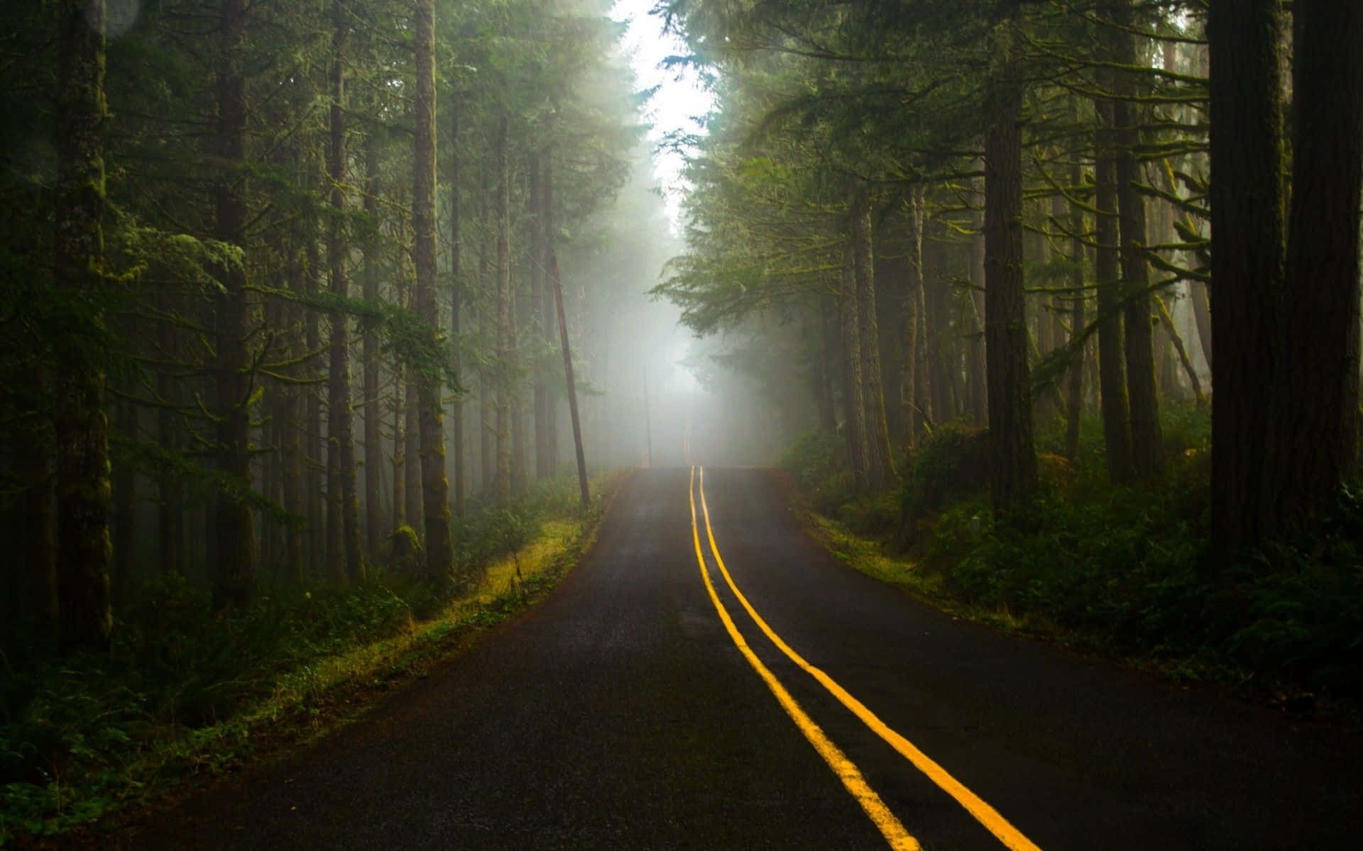 ¡Deja que la naturaleza te revitalice! Fondos de pantalla