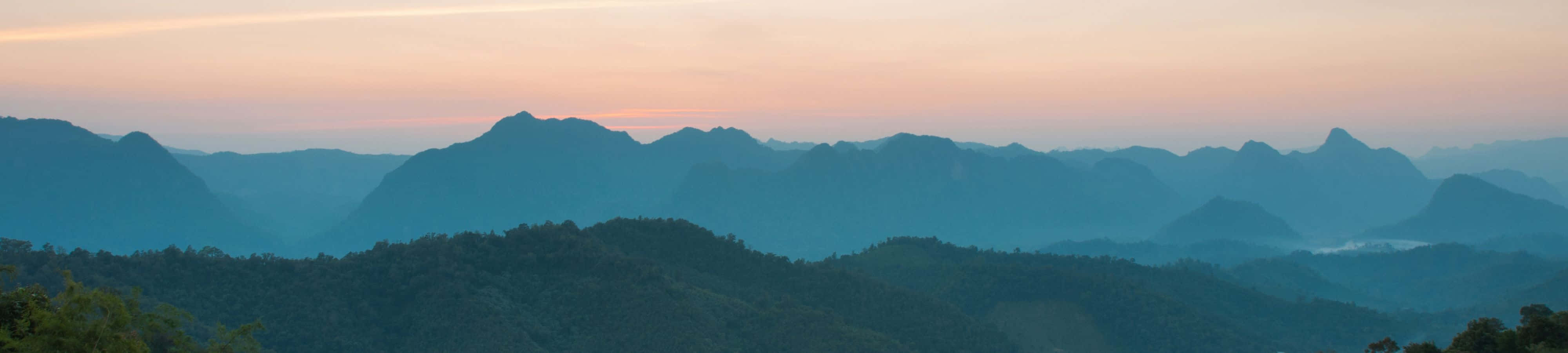 "Deja que la naturaleza te alcance" Fondos de pantalla