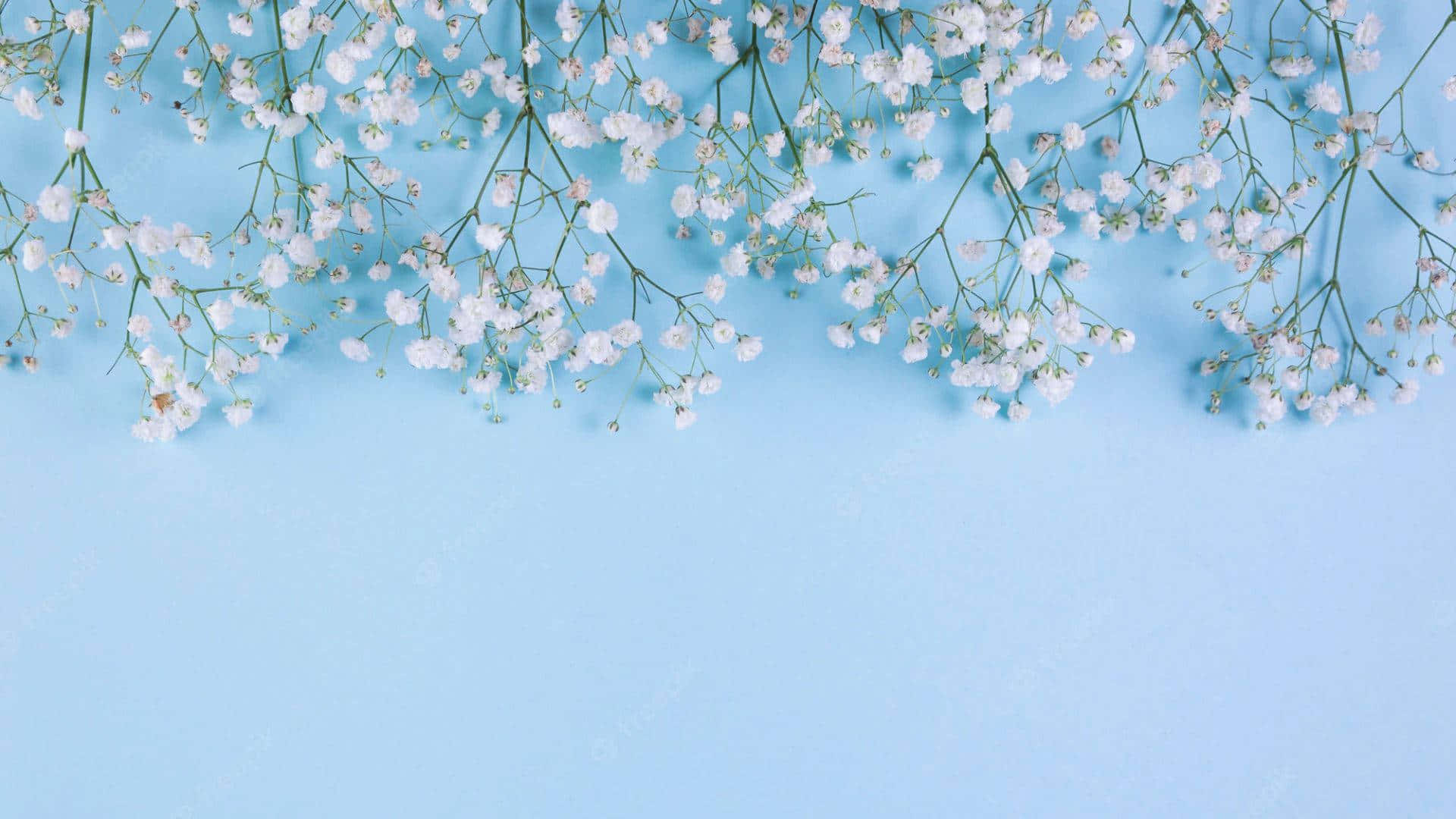 Deja que tu día se llene de positividad y belleza. Fondos de pantalla